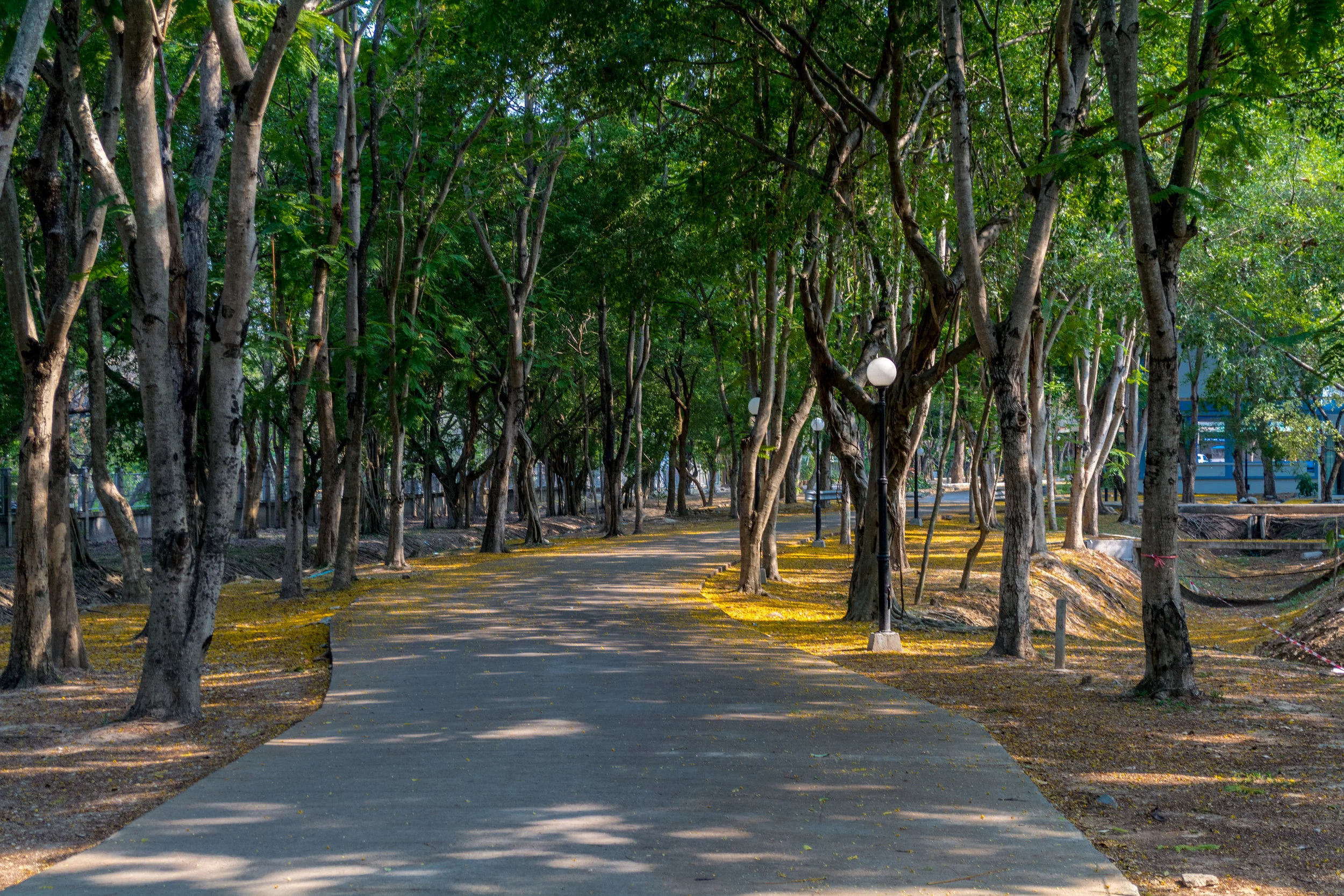 Chiang Mai - Day 1 -9.jpg