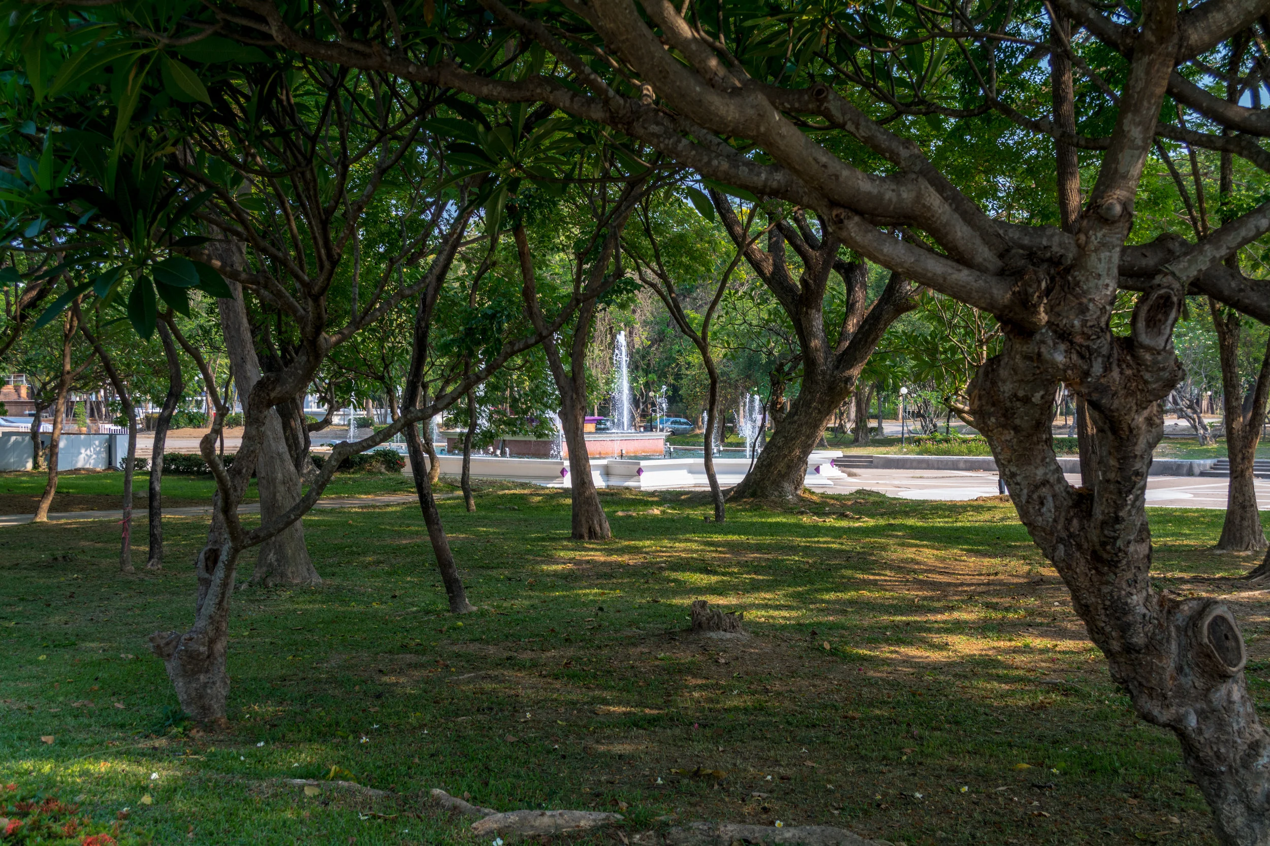 Chiang Mai - Day 1 -5.jpg