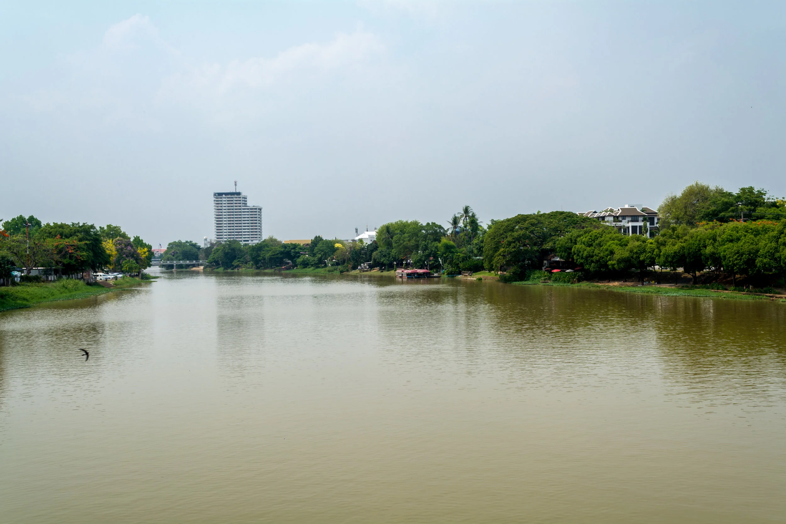 untitled-36.jpg