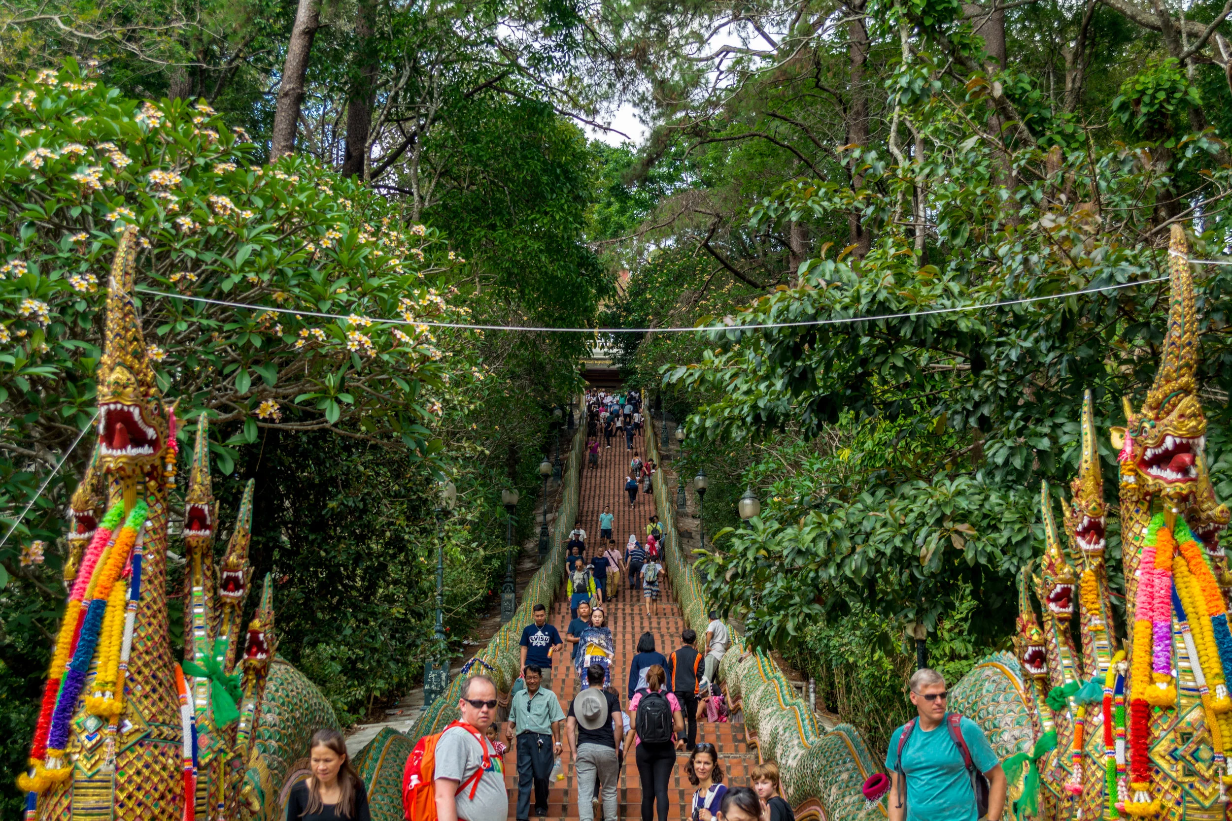 Chiang Mai - Day 3-16.jpg