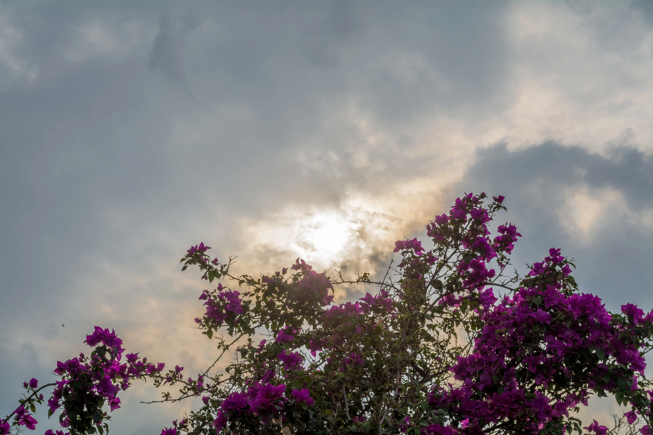 Chiang Mai - Day 3-38.jpg