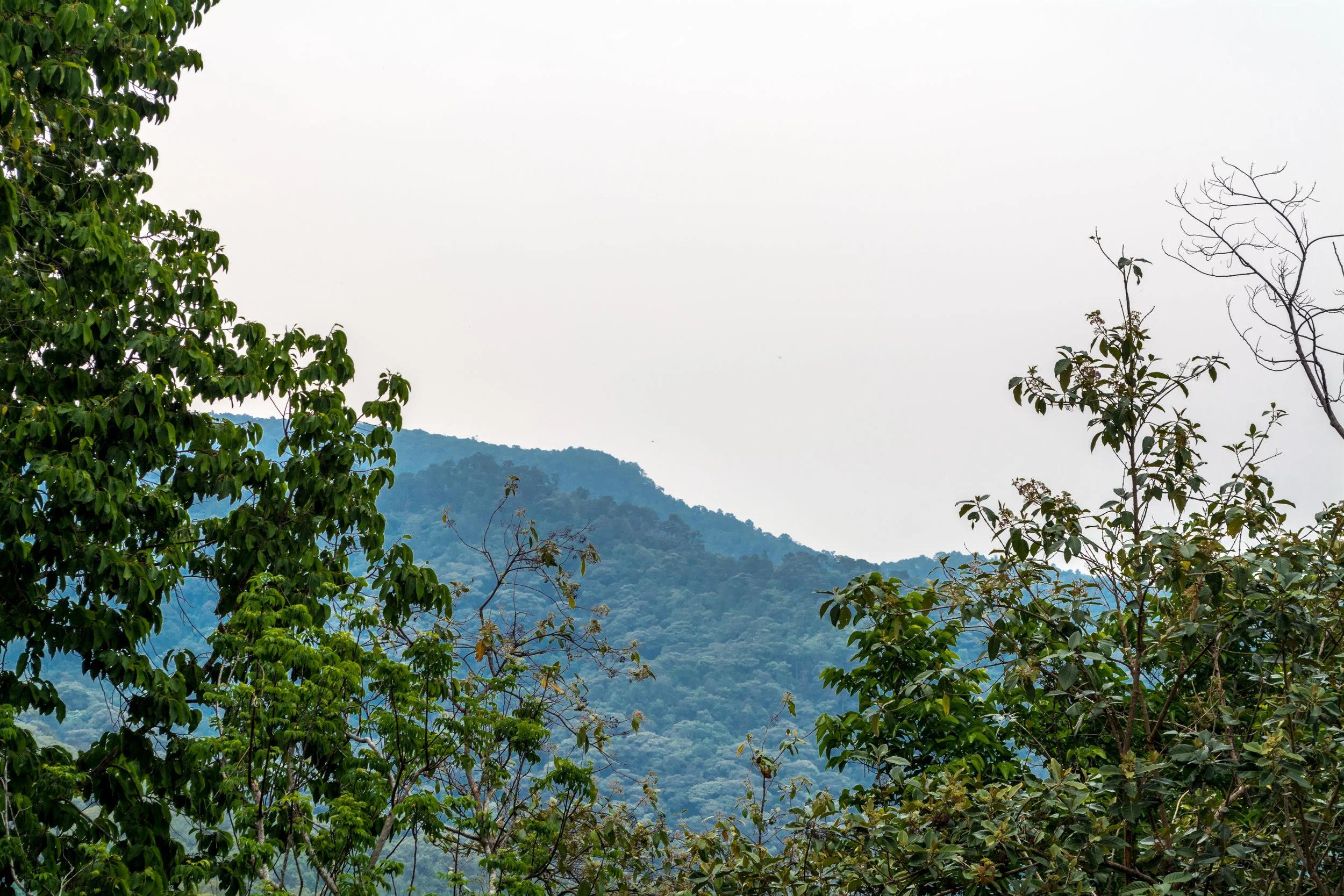 Chiang Mai - Day 3-43.jpg
