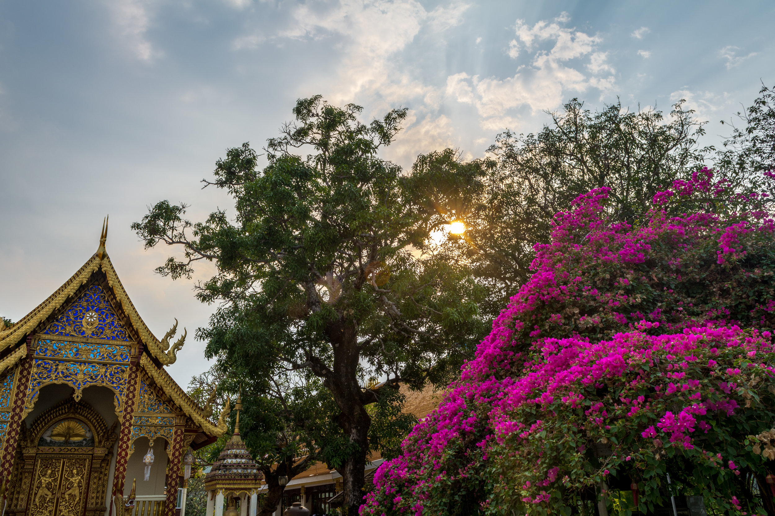 Chiang Mai - Day 3-77.jpg