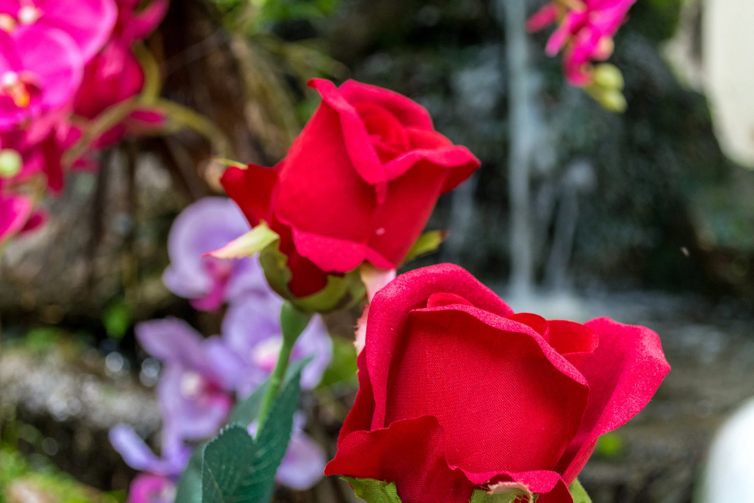 Chiang Mai - Day 3-90.jpg