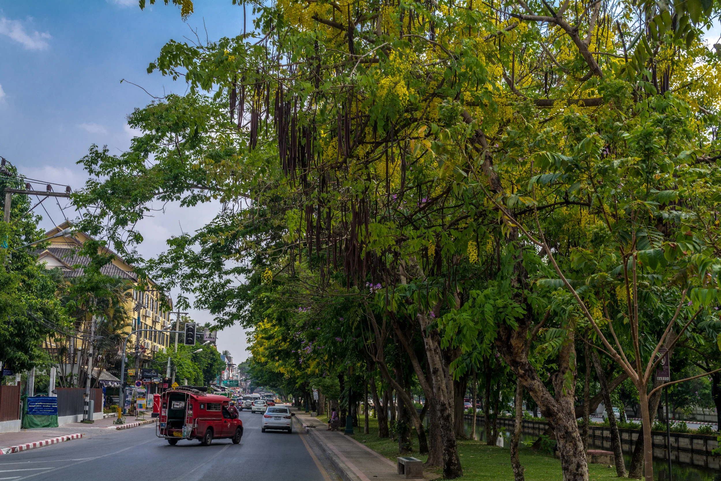 Chiang Mai - Day 4 -8.jpg