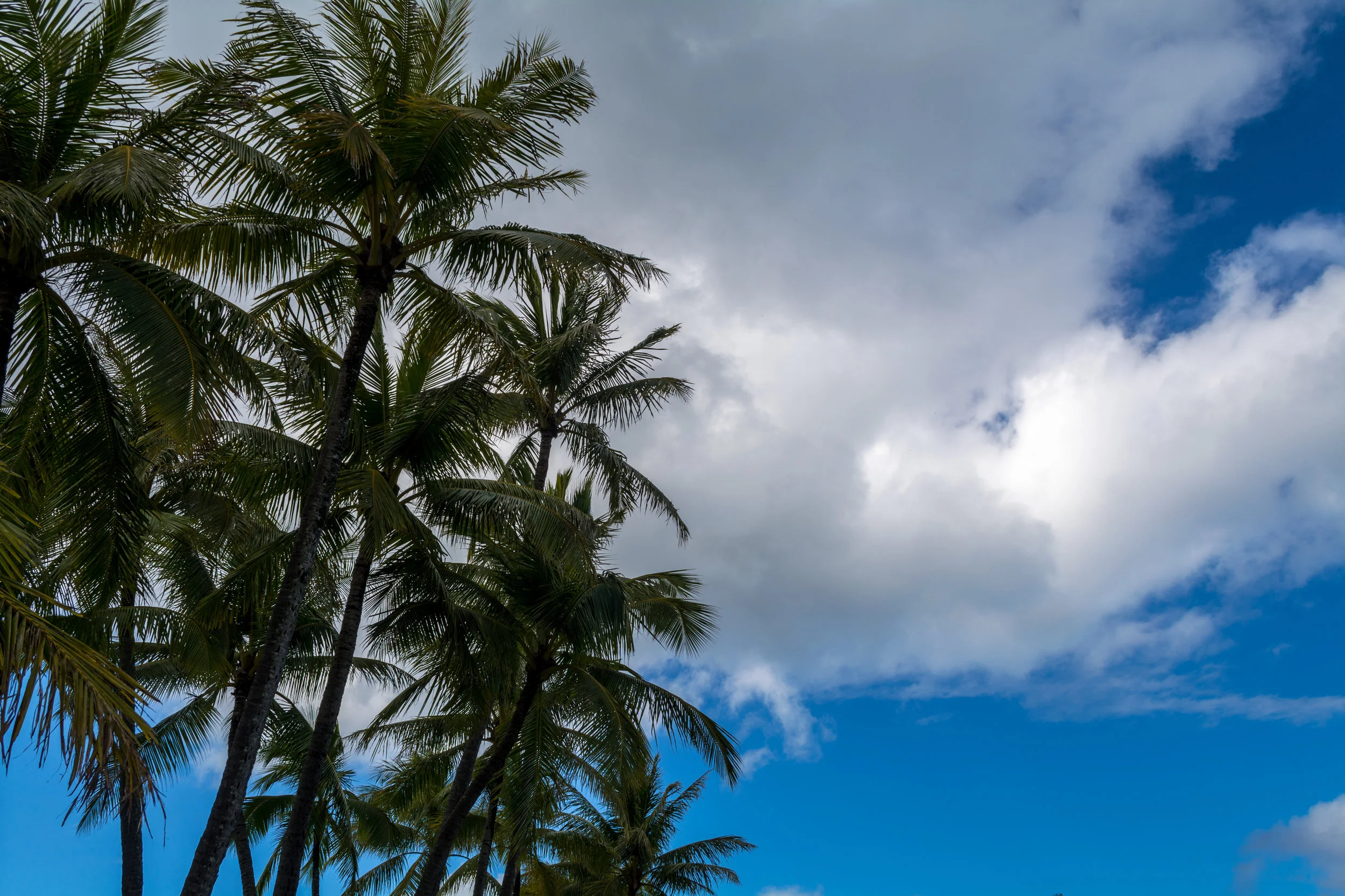 Oahu-235.jpg