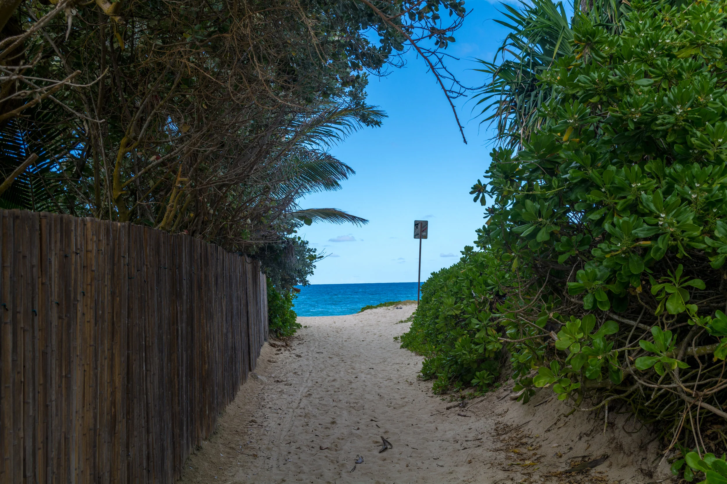 Oahu-219.jpg