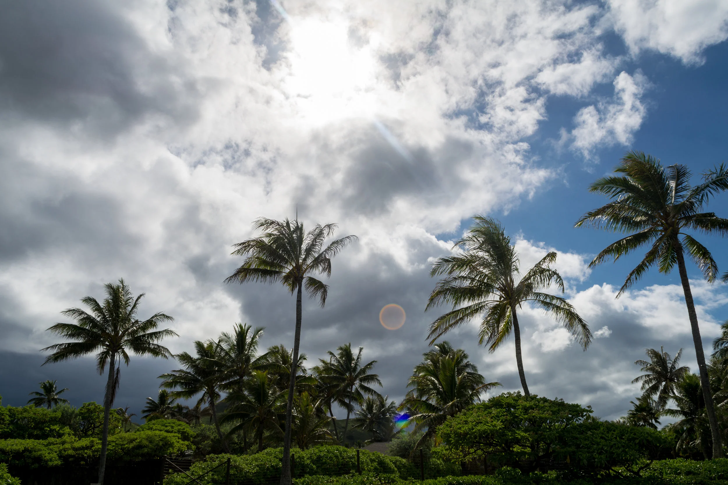 Oahu-24.jpg