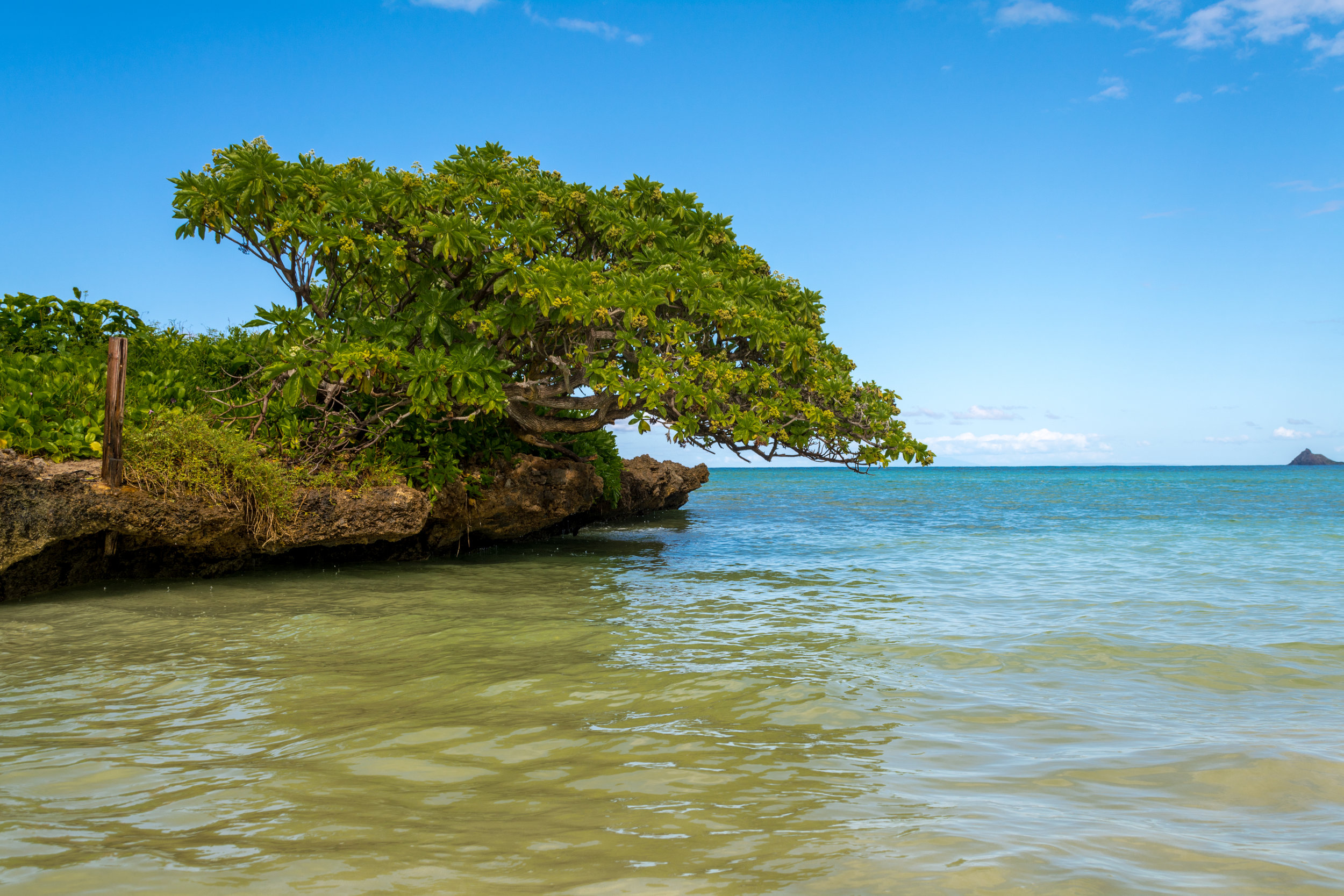 Oahu-207.jpg