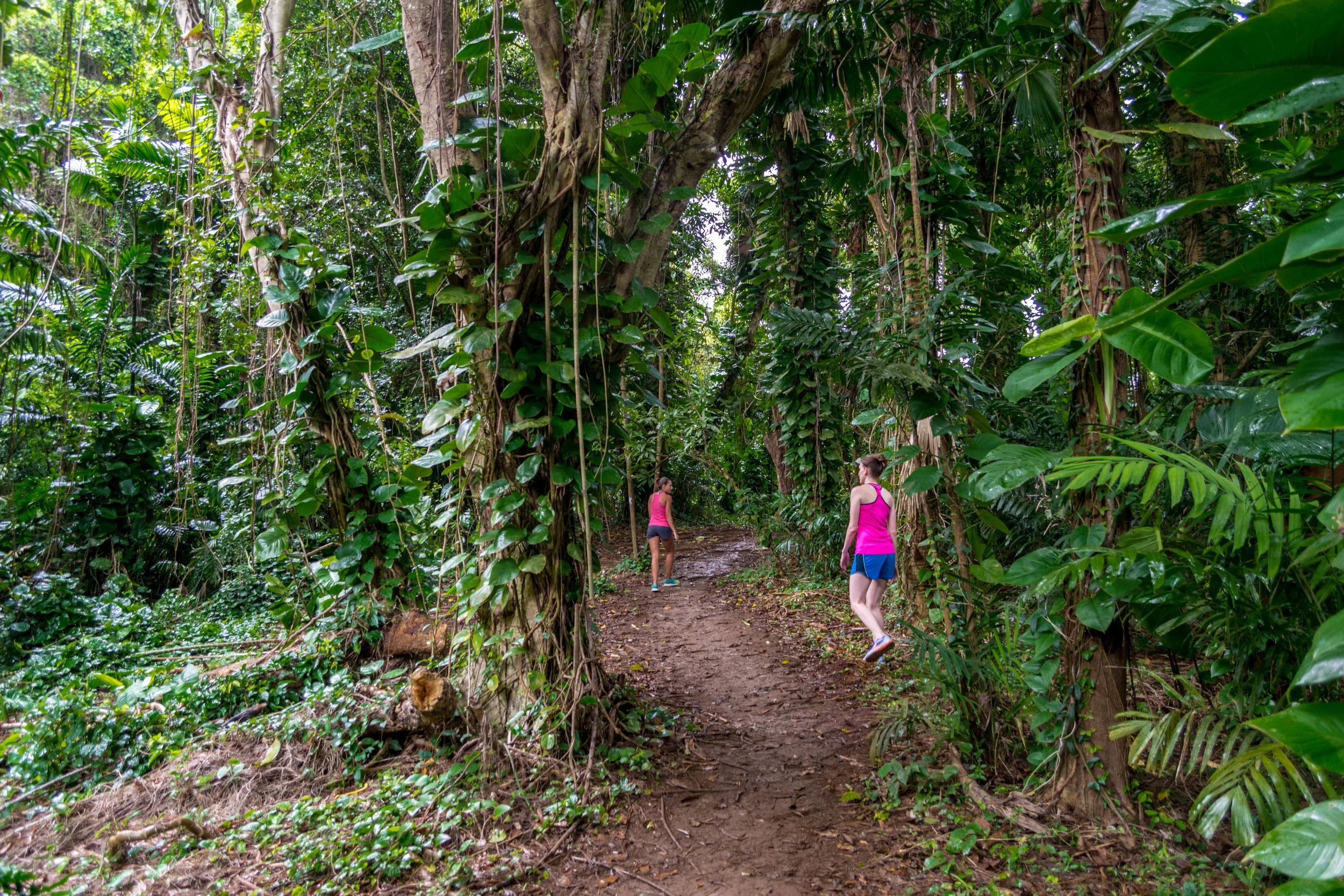 Oahu-3.jpg