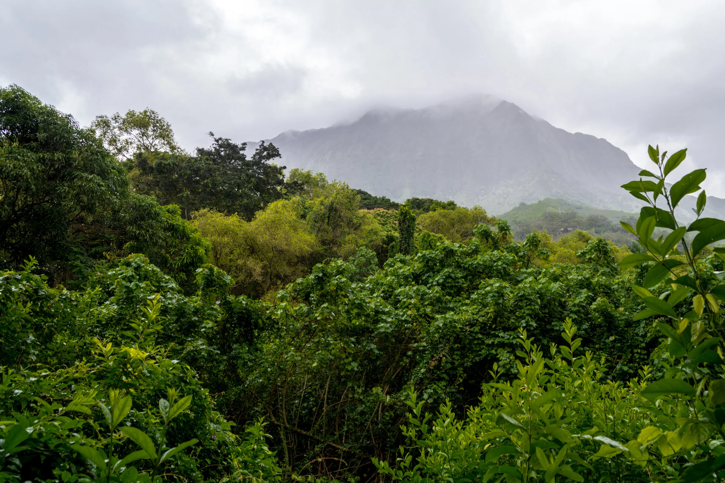Oahu-19.jpg