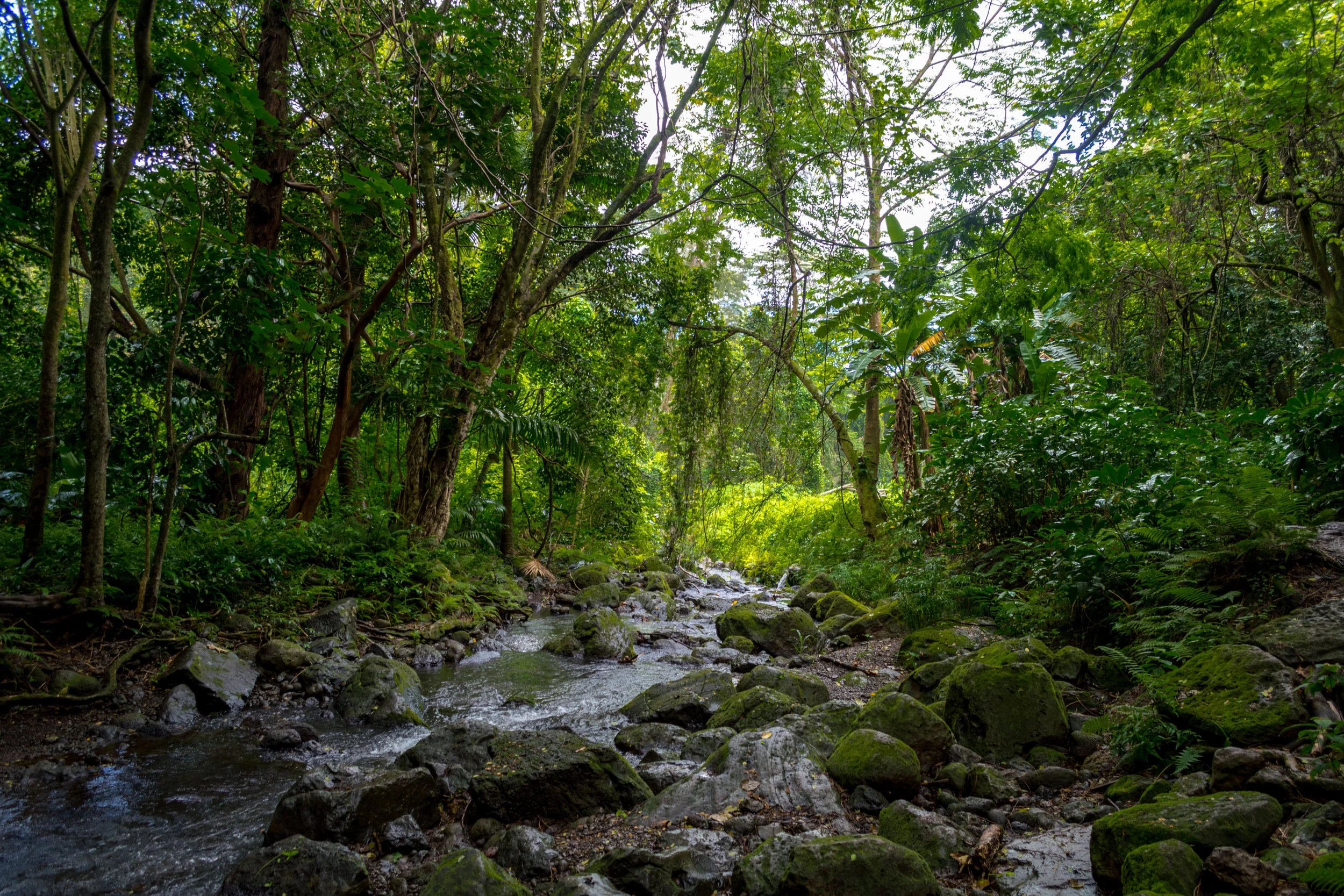 Oahu-146.jpg