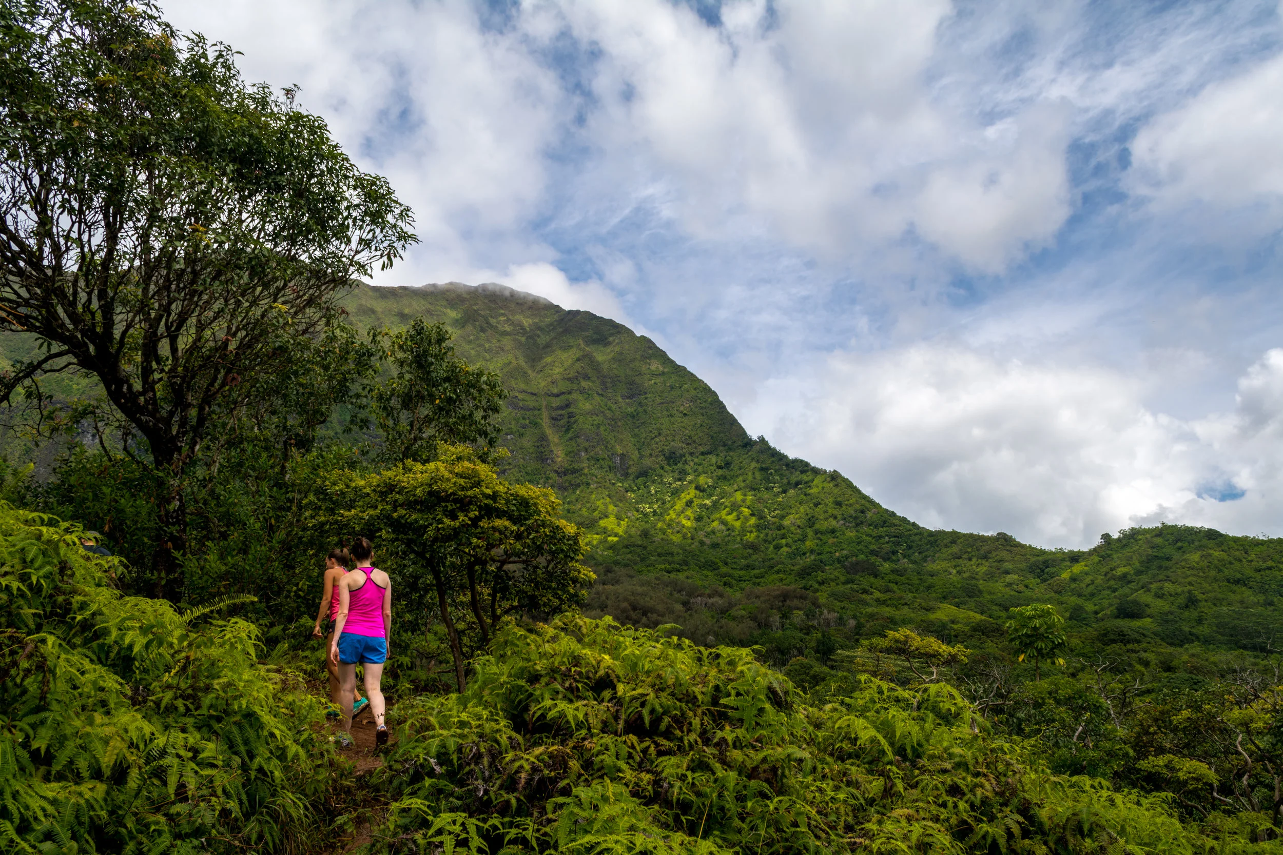 Oahu-60.jpg