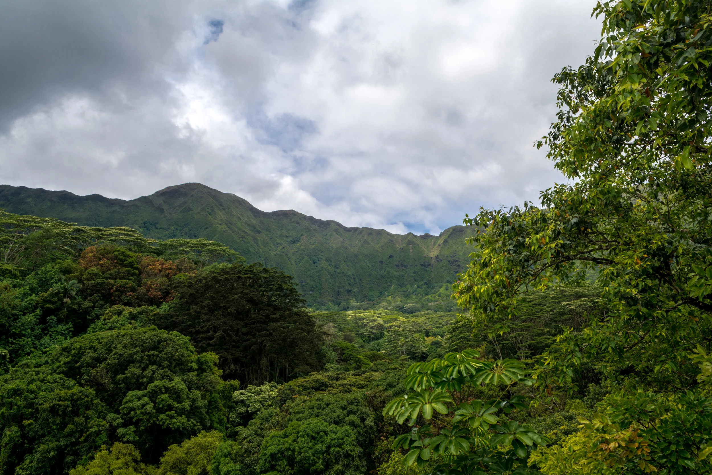 Oahu-167.jpg