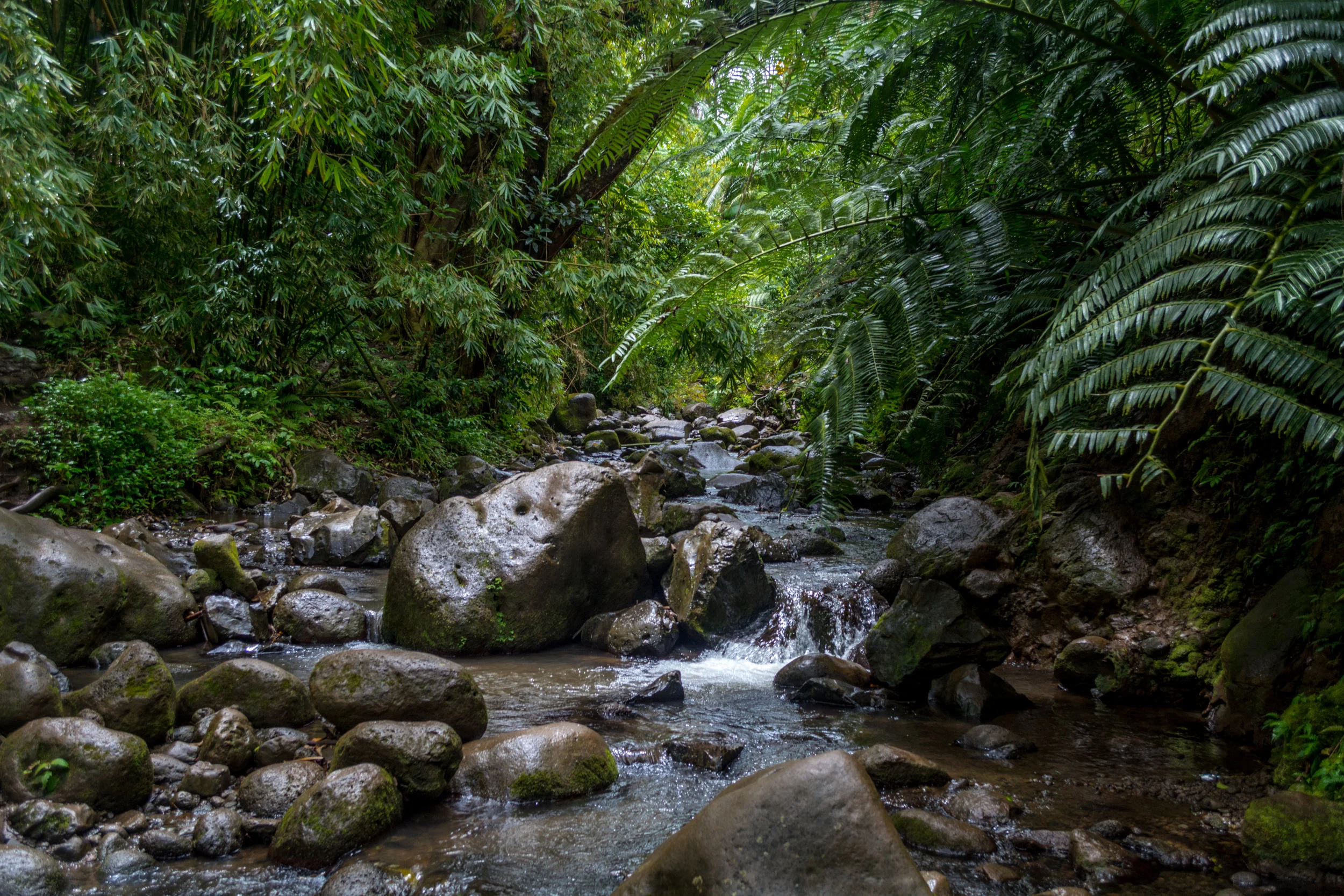 Oahu-218.jpg