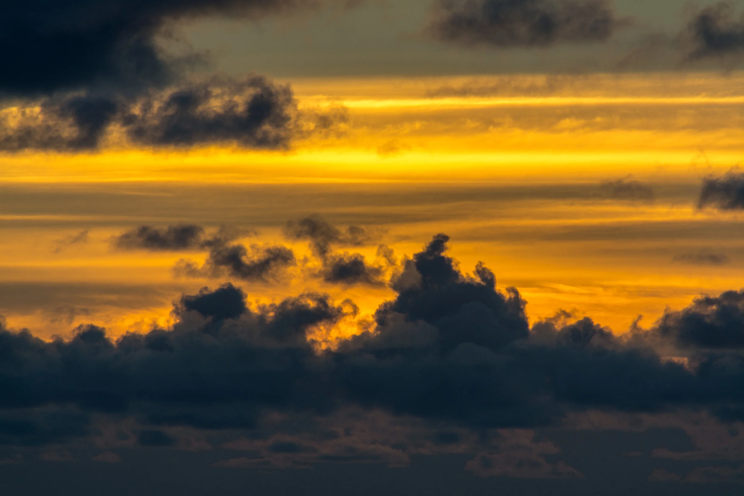 Oahu-213.jpg