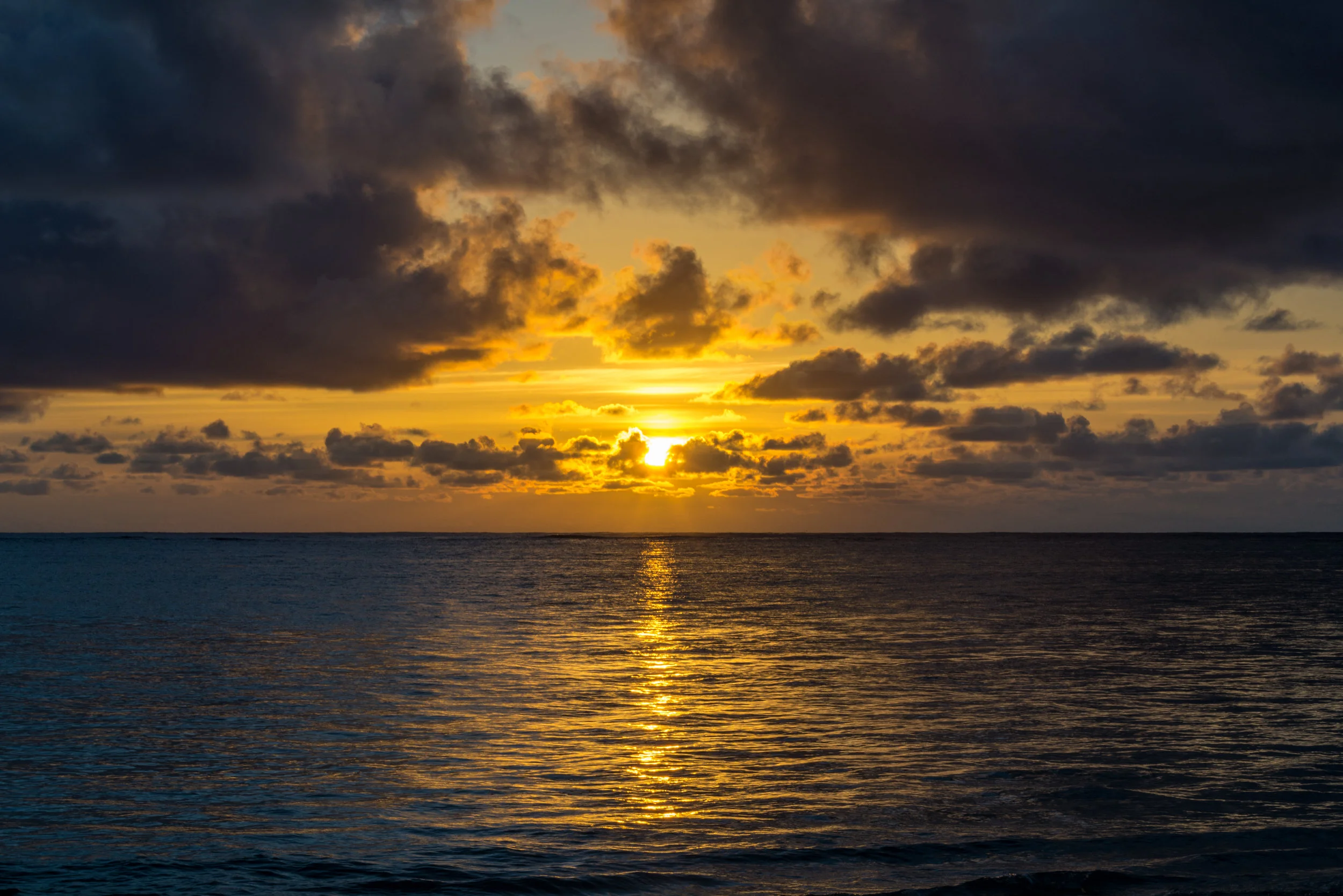 Oahu-70.jpg