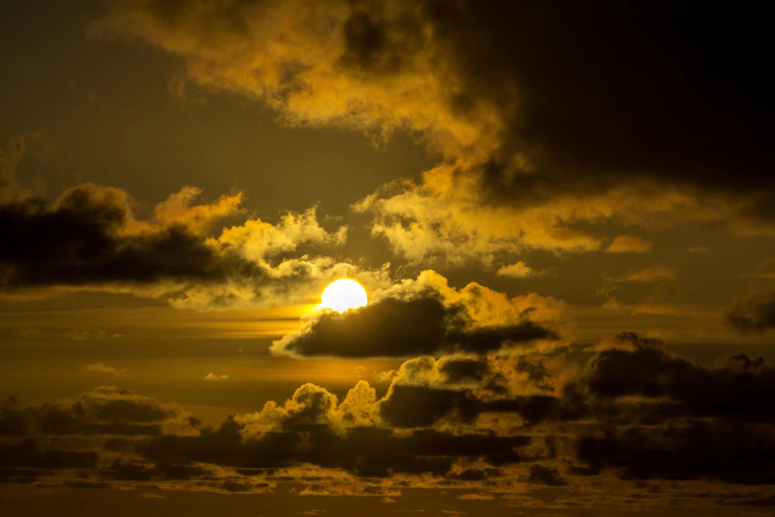 Oahu-120.jpg