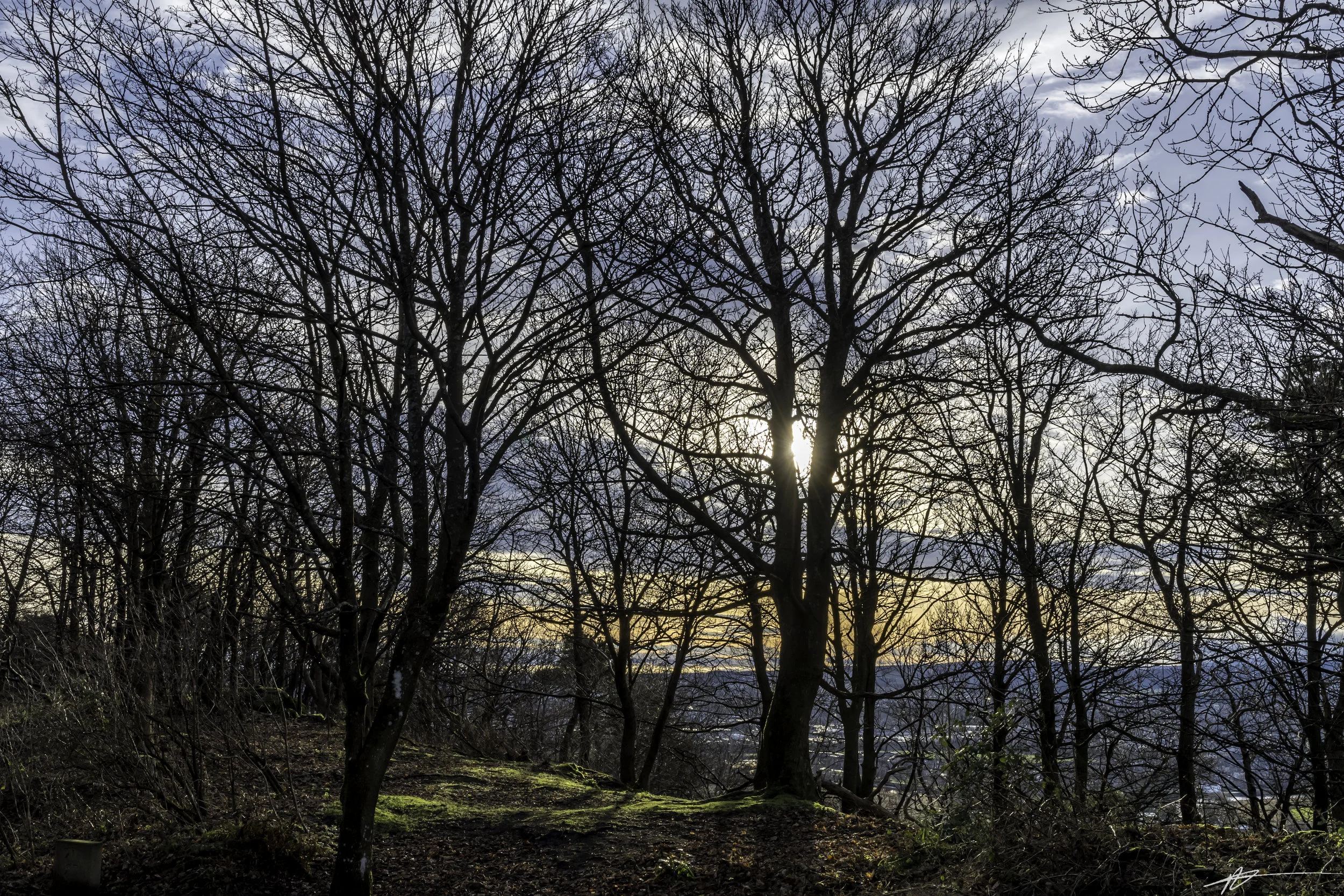 Edinburgh Day 3-144.jpg