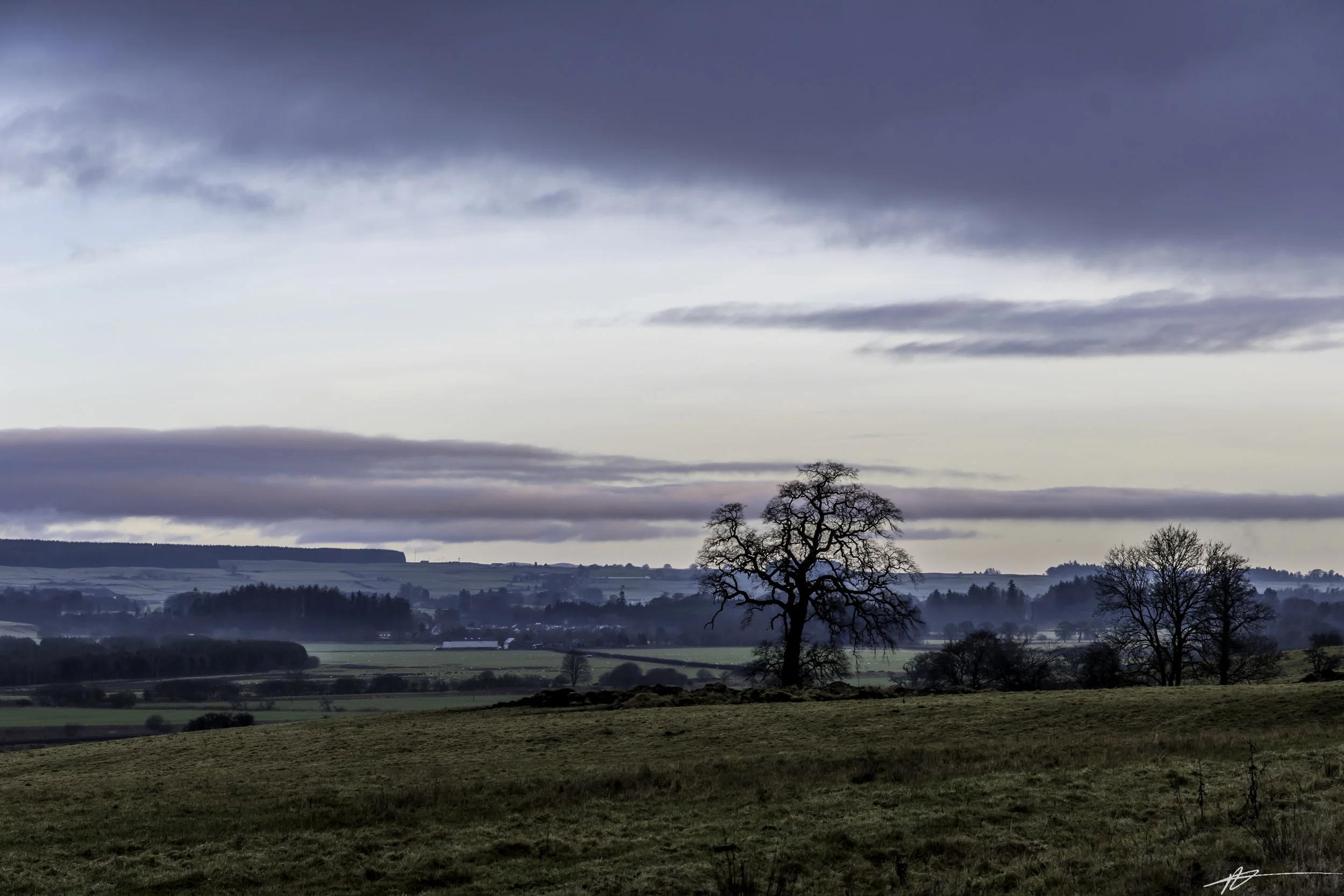 Highlands-5.jpg