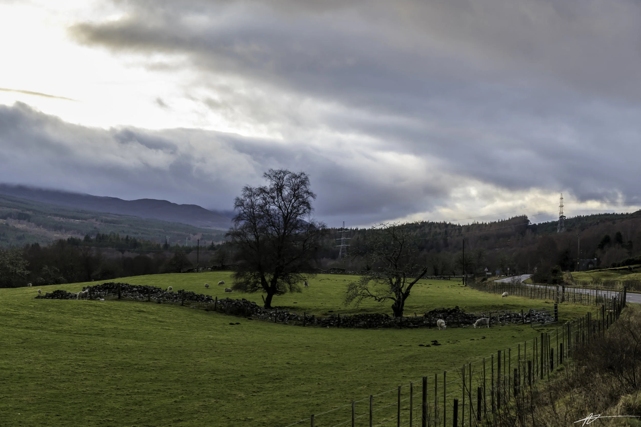 Highlands-129.jpg