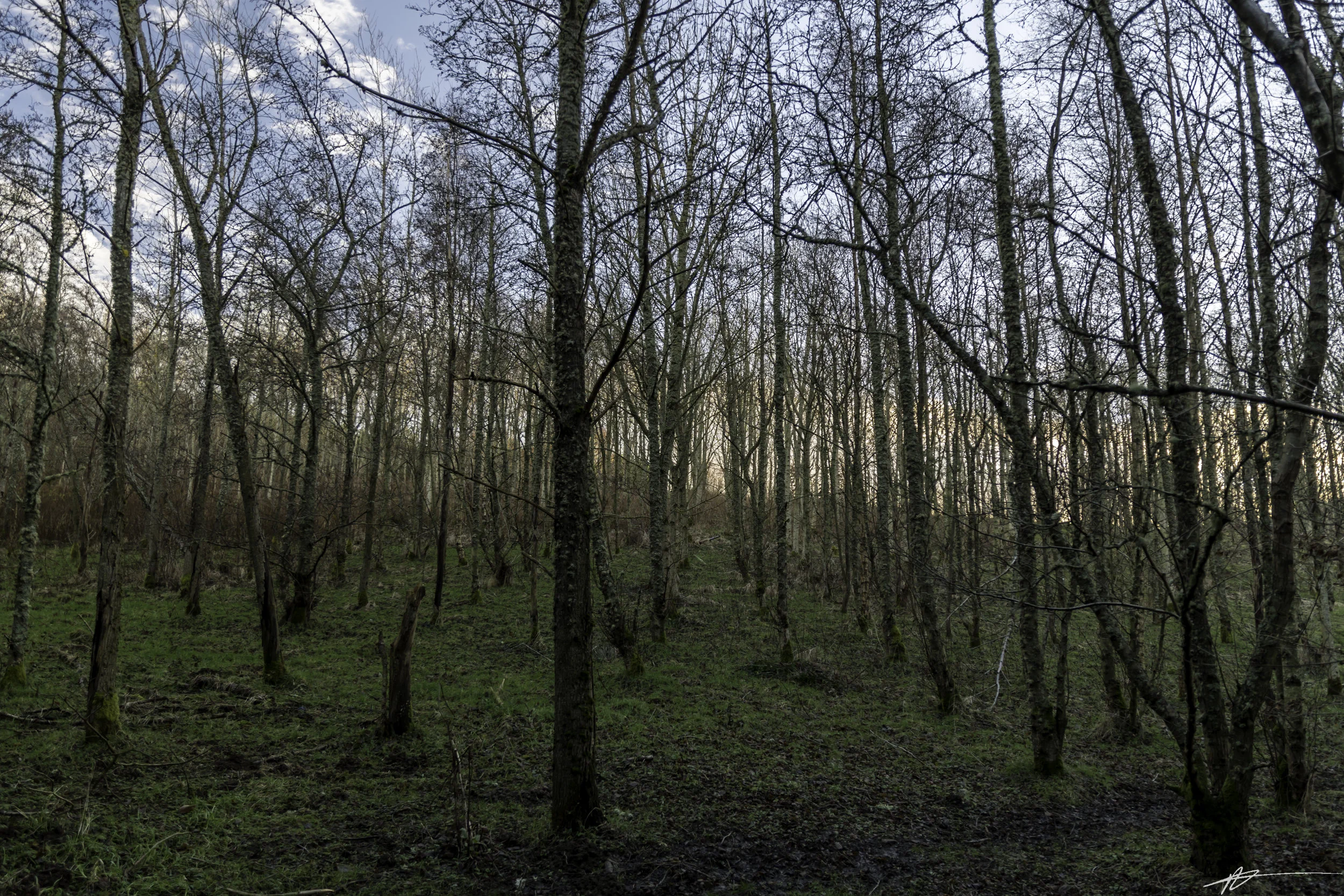 Inverurie-131.jpg