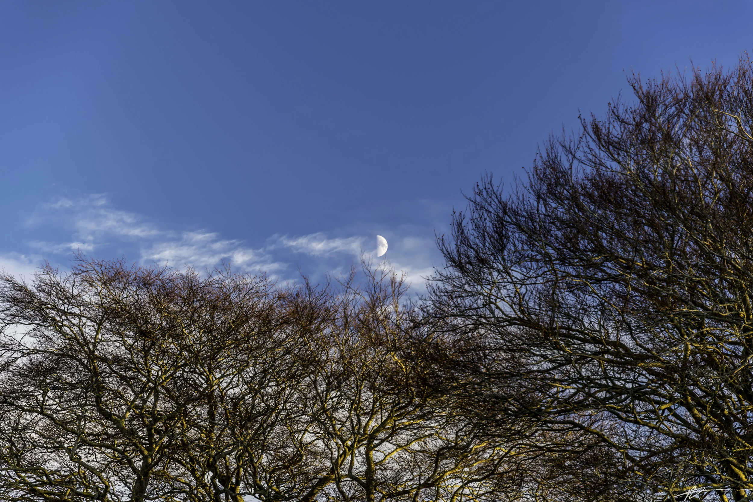 Inverurie-143.jpg
