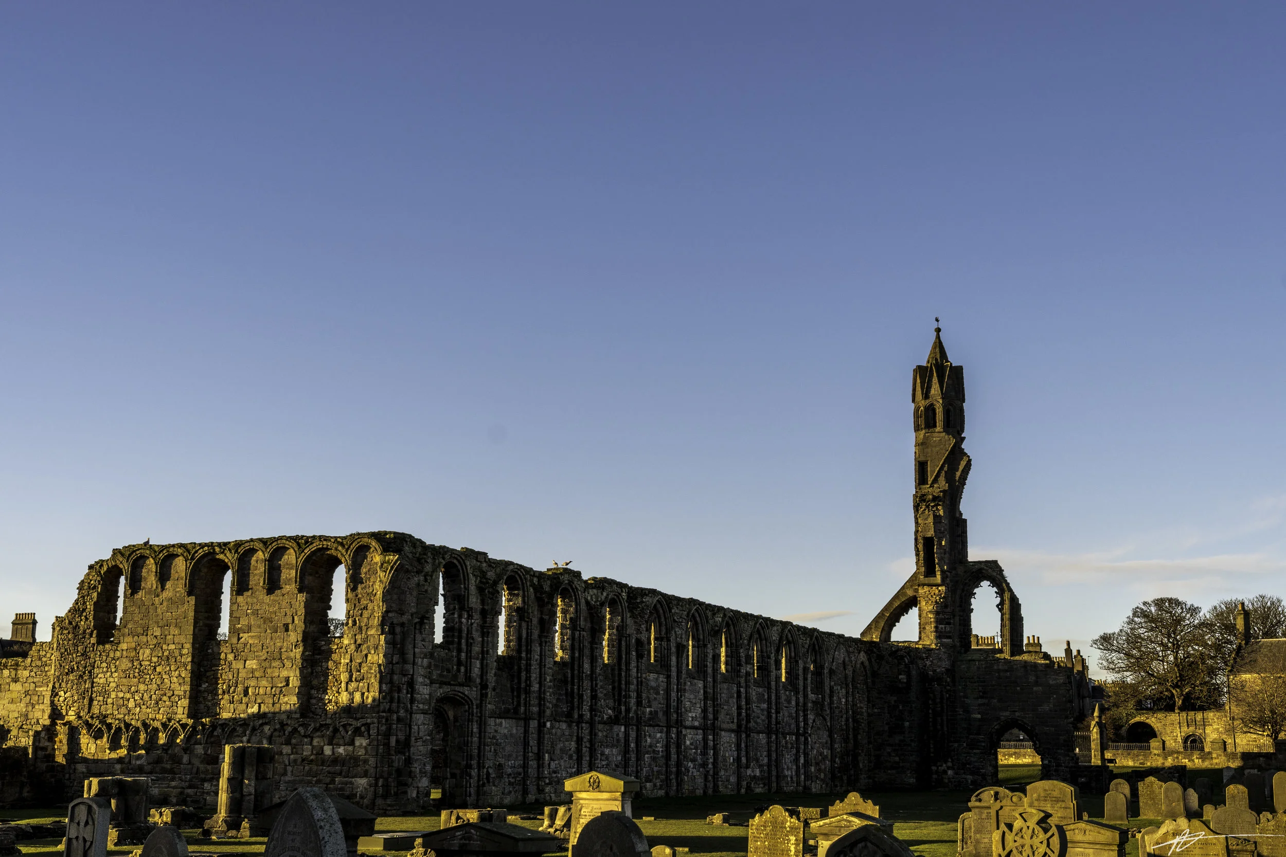 St. Andrews-36.jpg