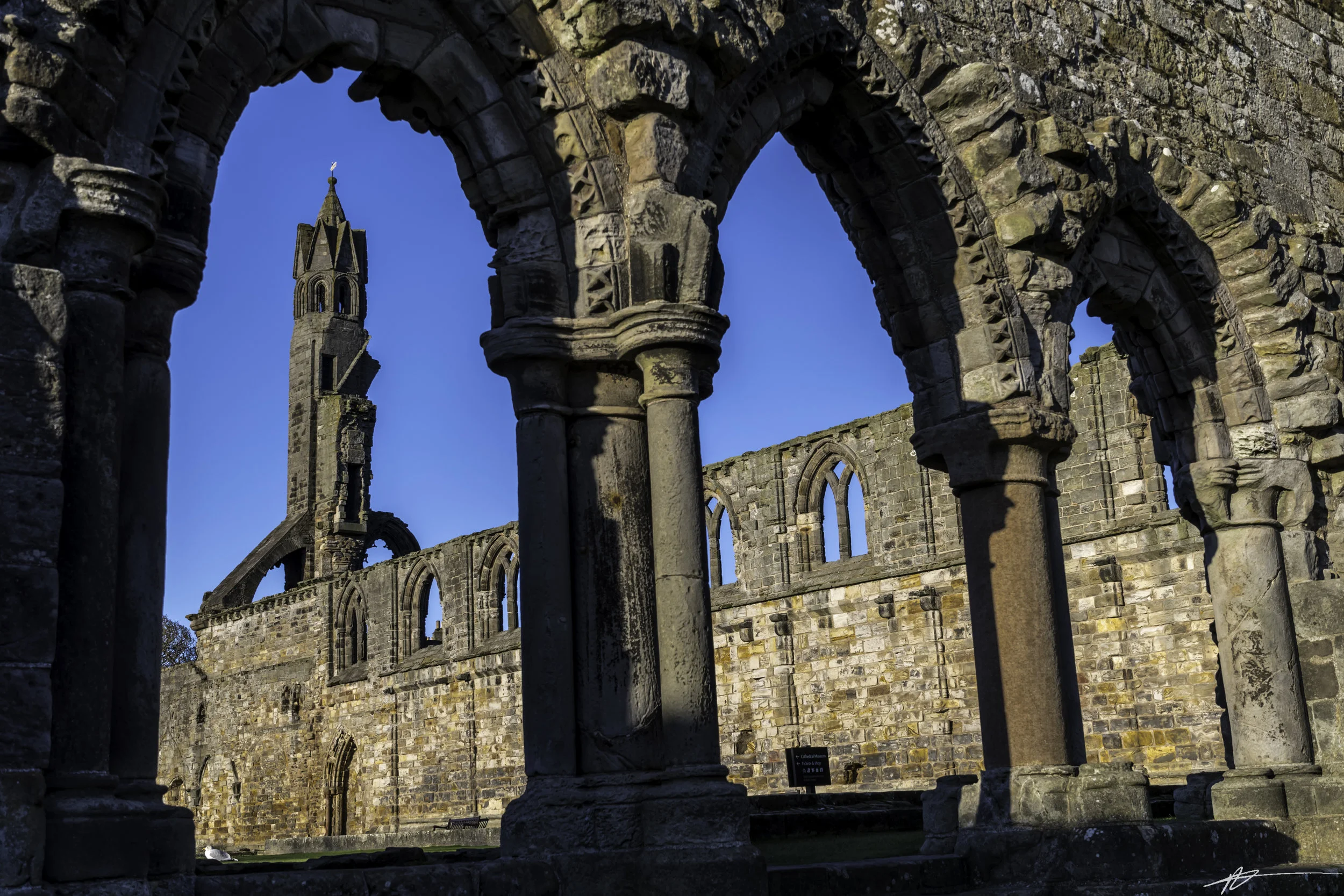 St. Andrews-91.jpg