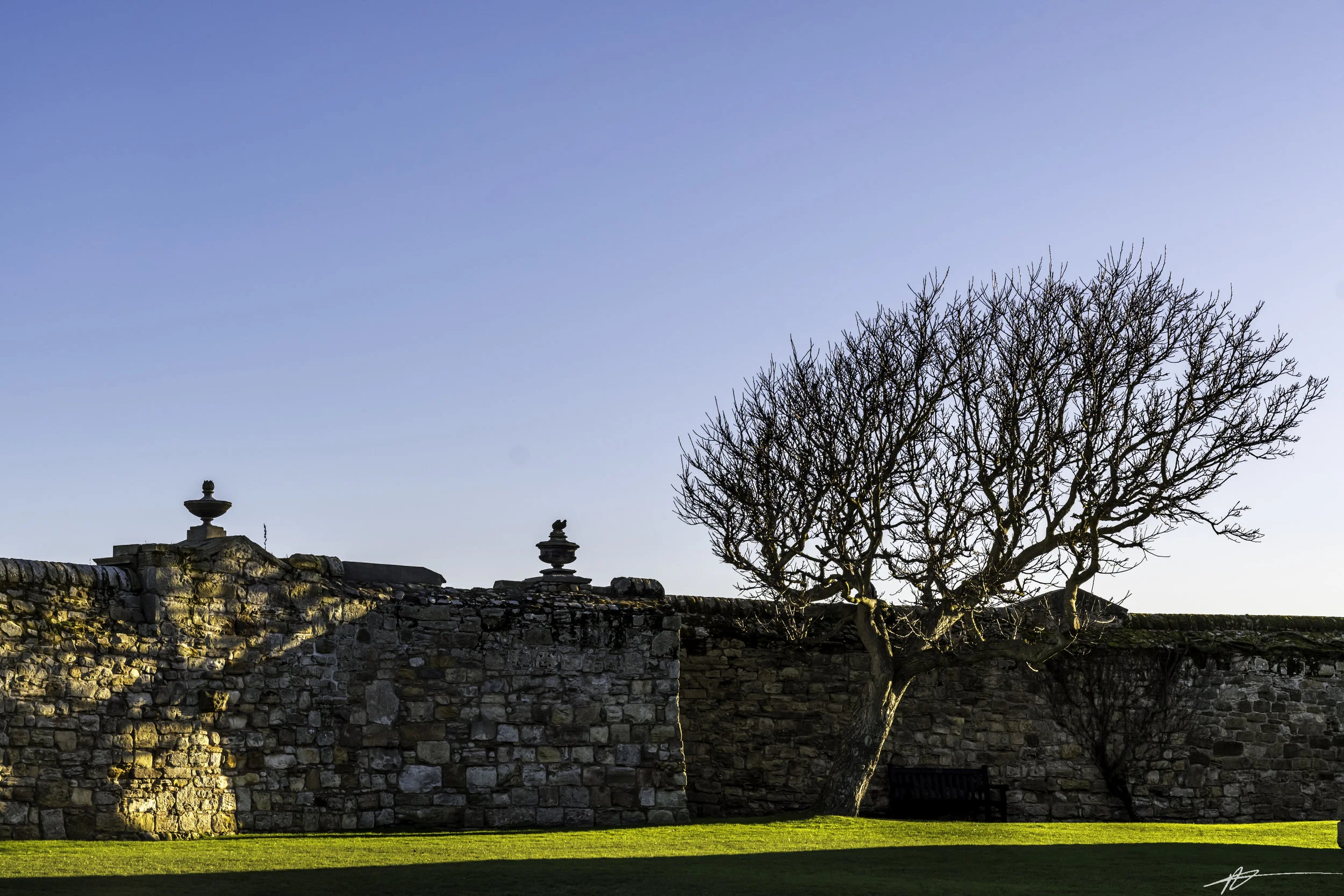 St. Andrews-100.jpg