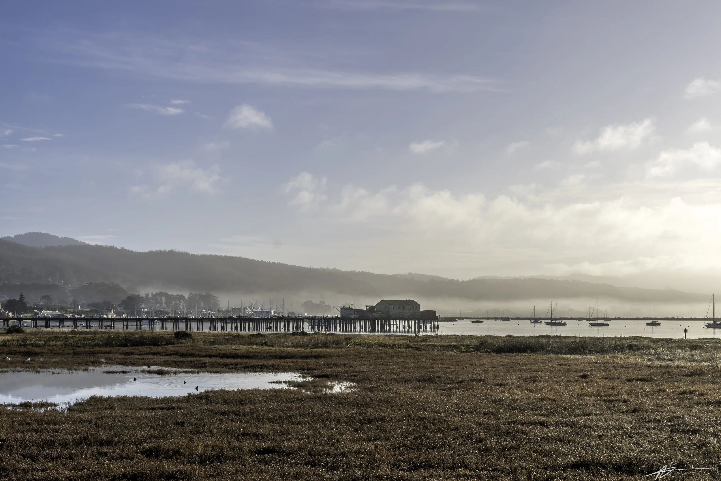 Big Sur-3.jpg