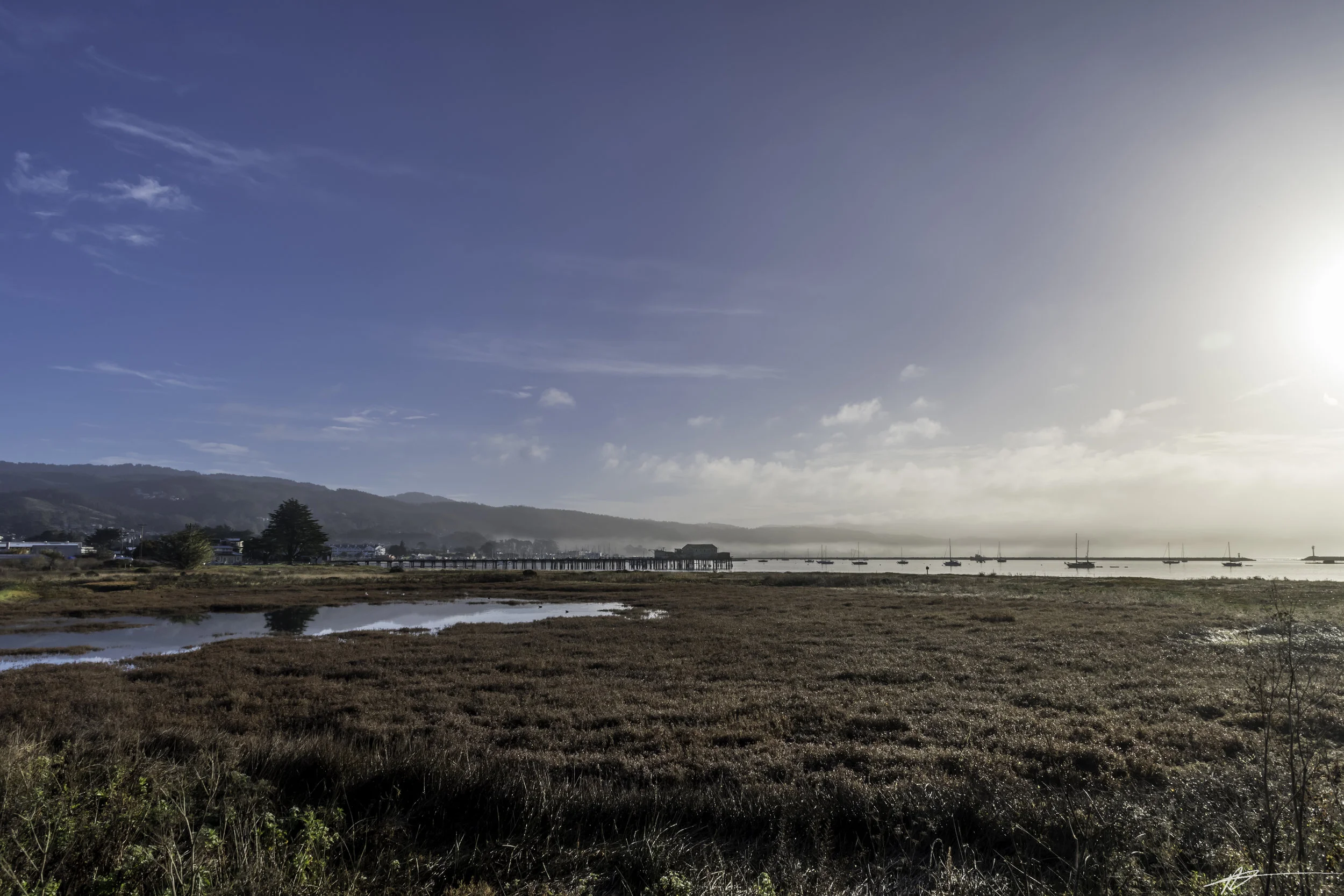 Big Sur-1.jpg