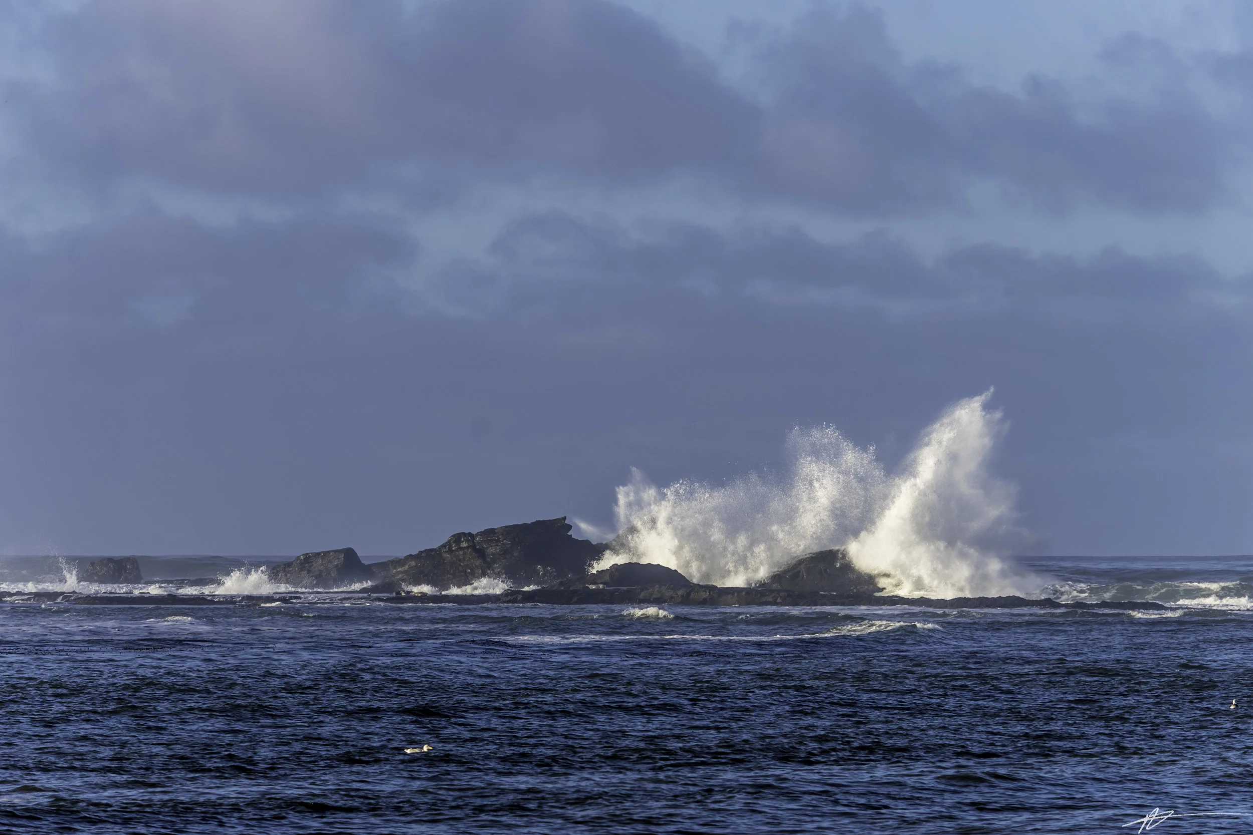 Big Sur-18.jpg
