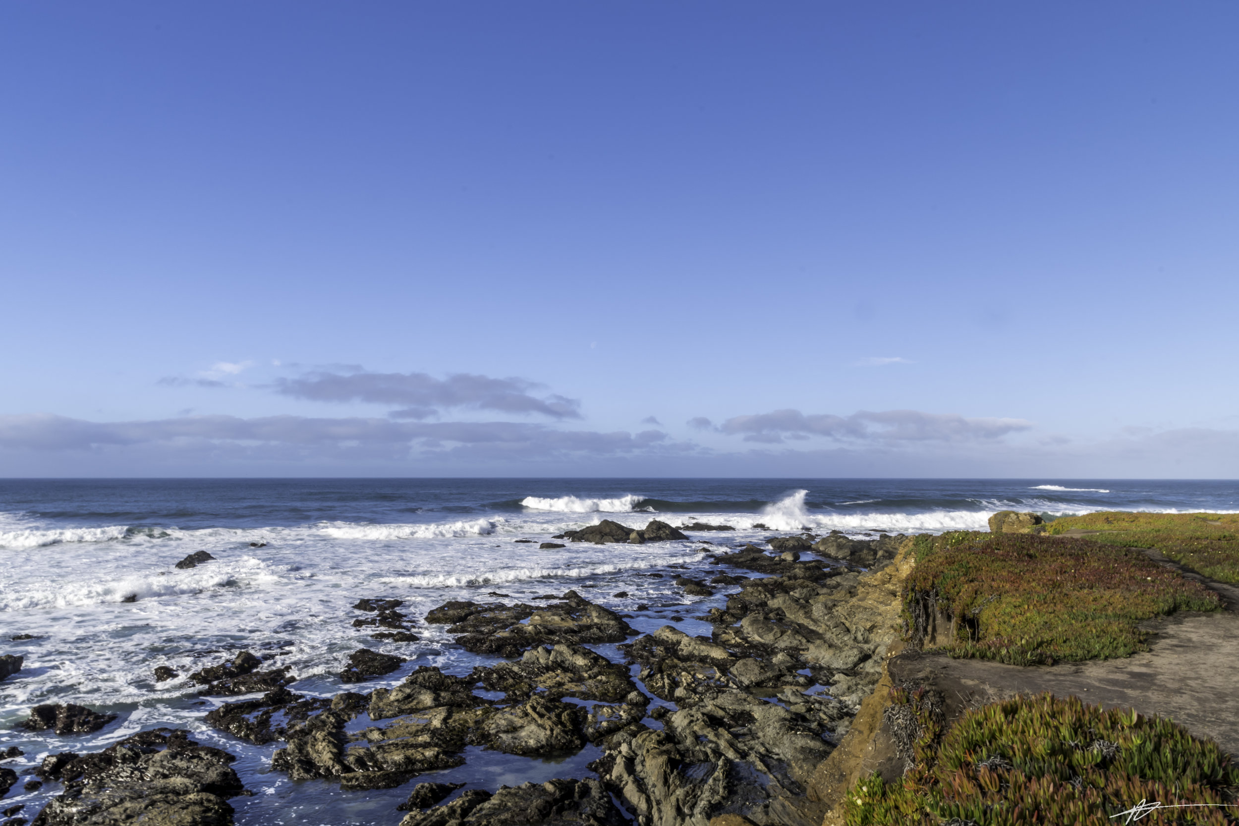 Big Sur-141.jpg