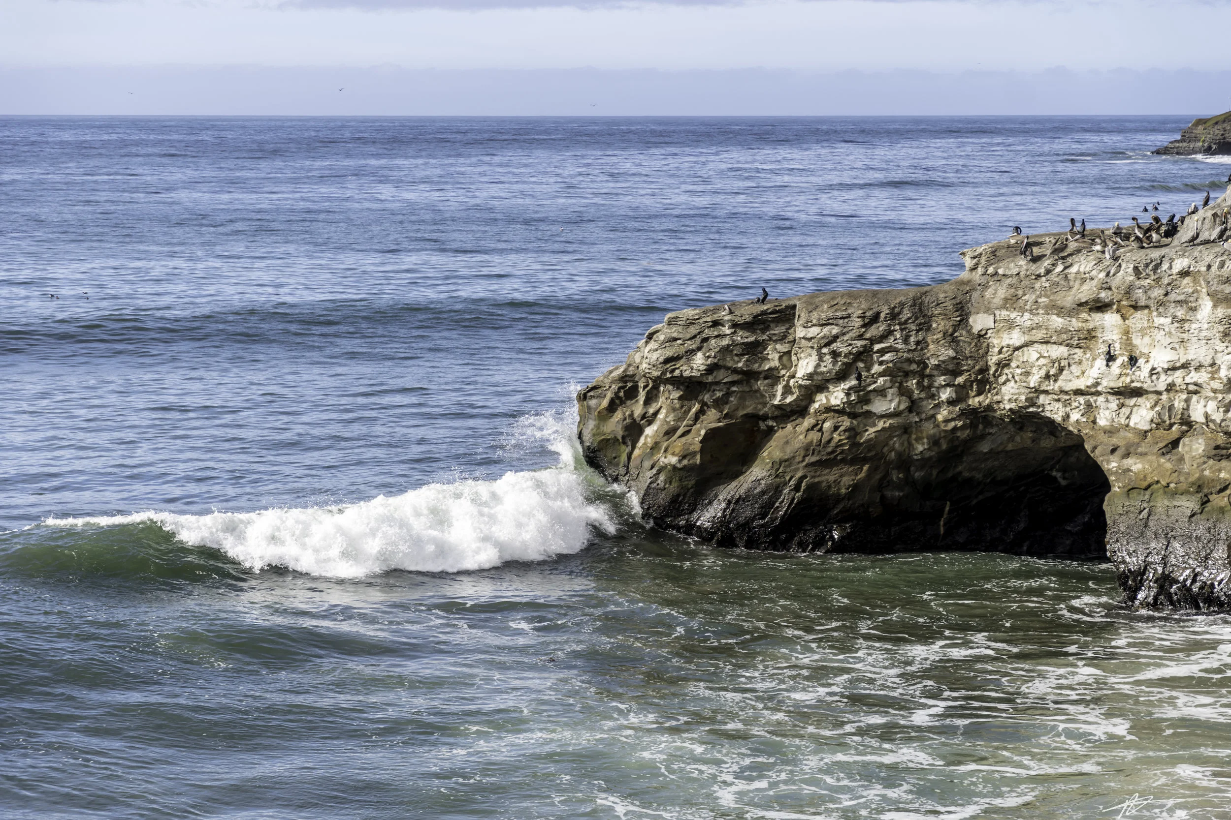 Big Sur-216.jpg