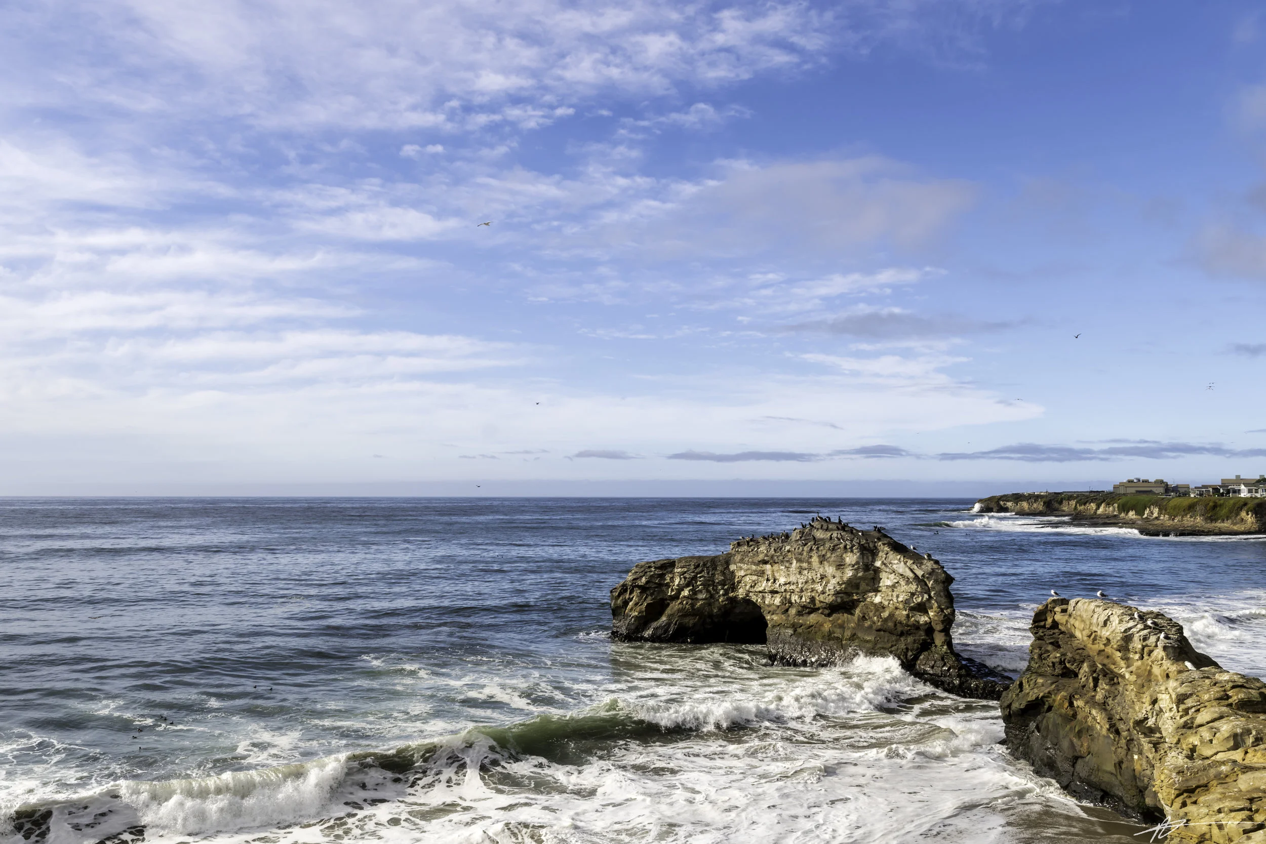 Big Sur-206.jpg
