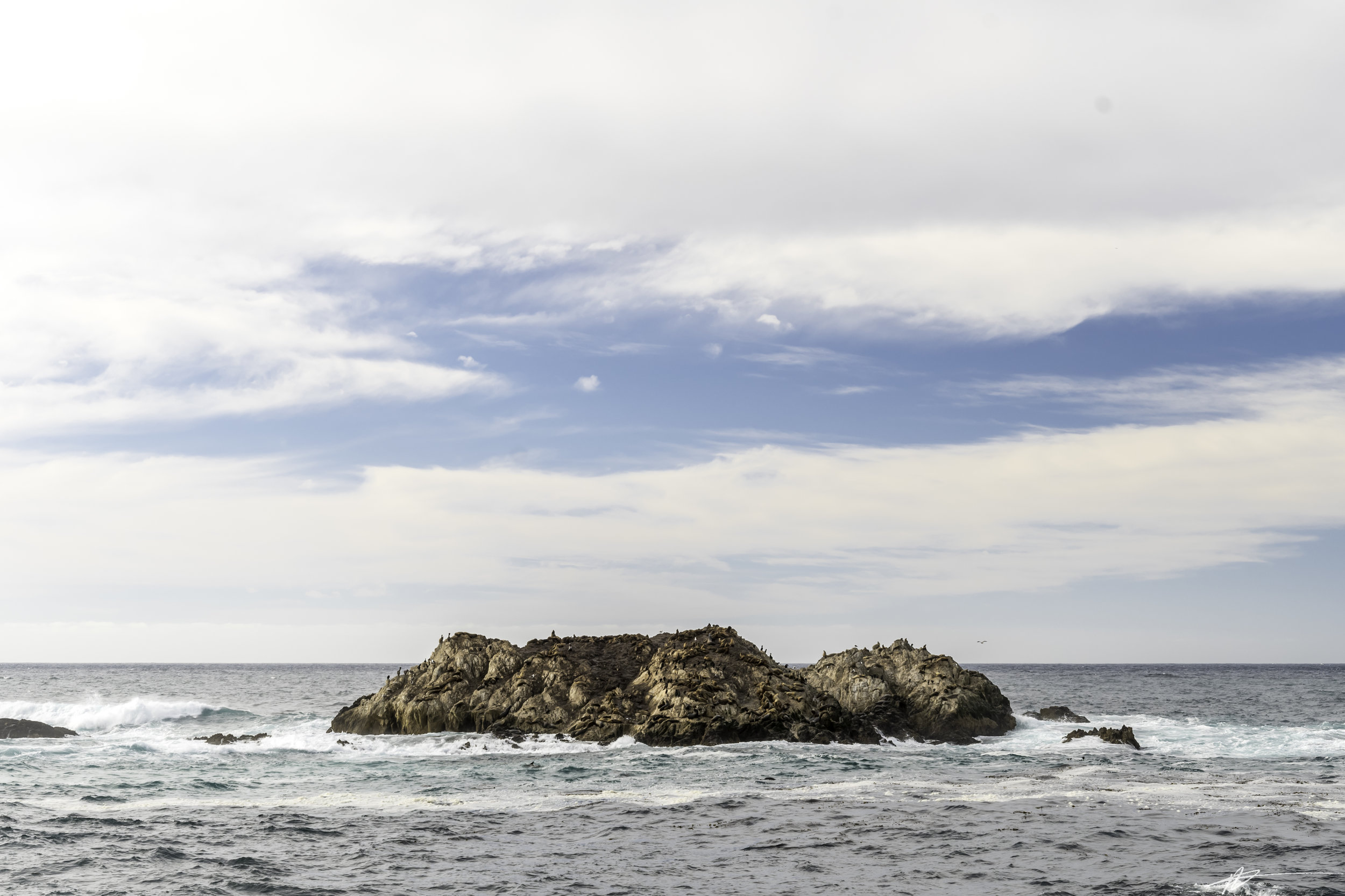 Big Sur-282.jpg