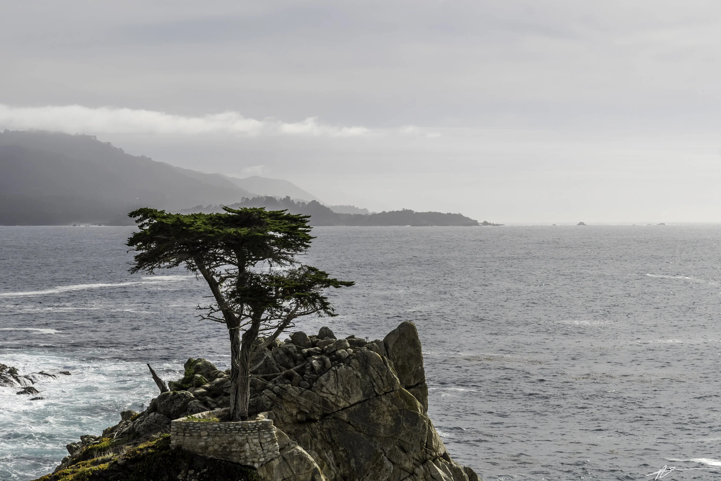 Big Sur-309.jpg