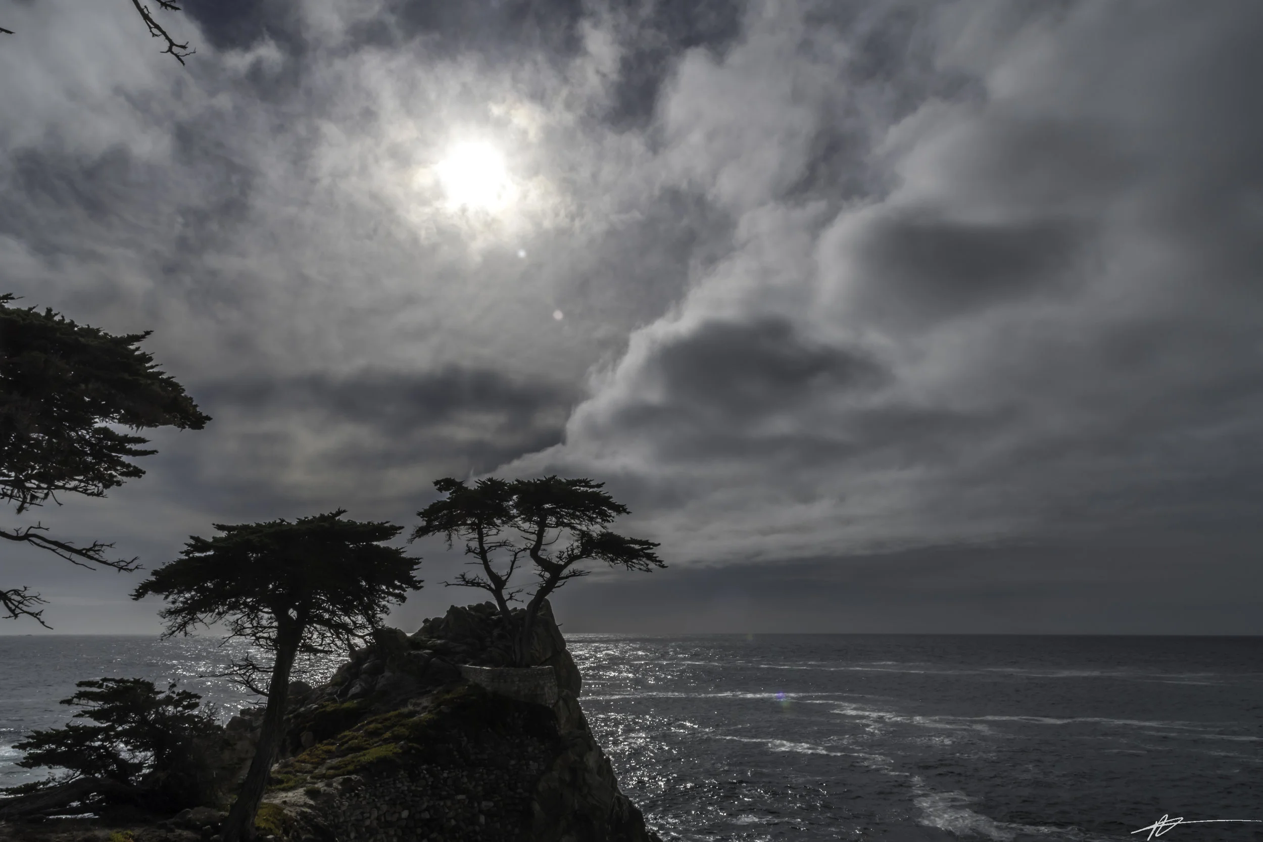 Big Sur-314.jpg
