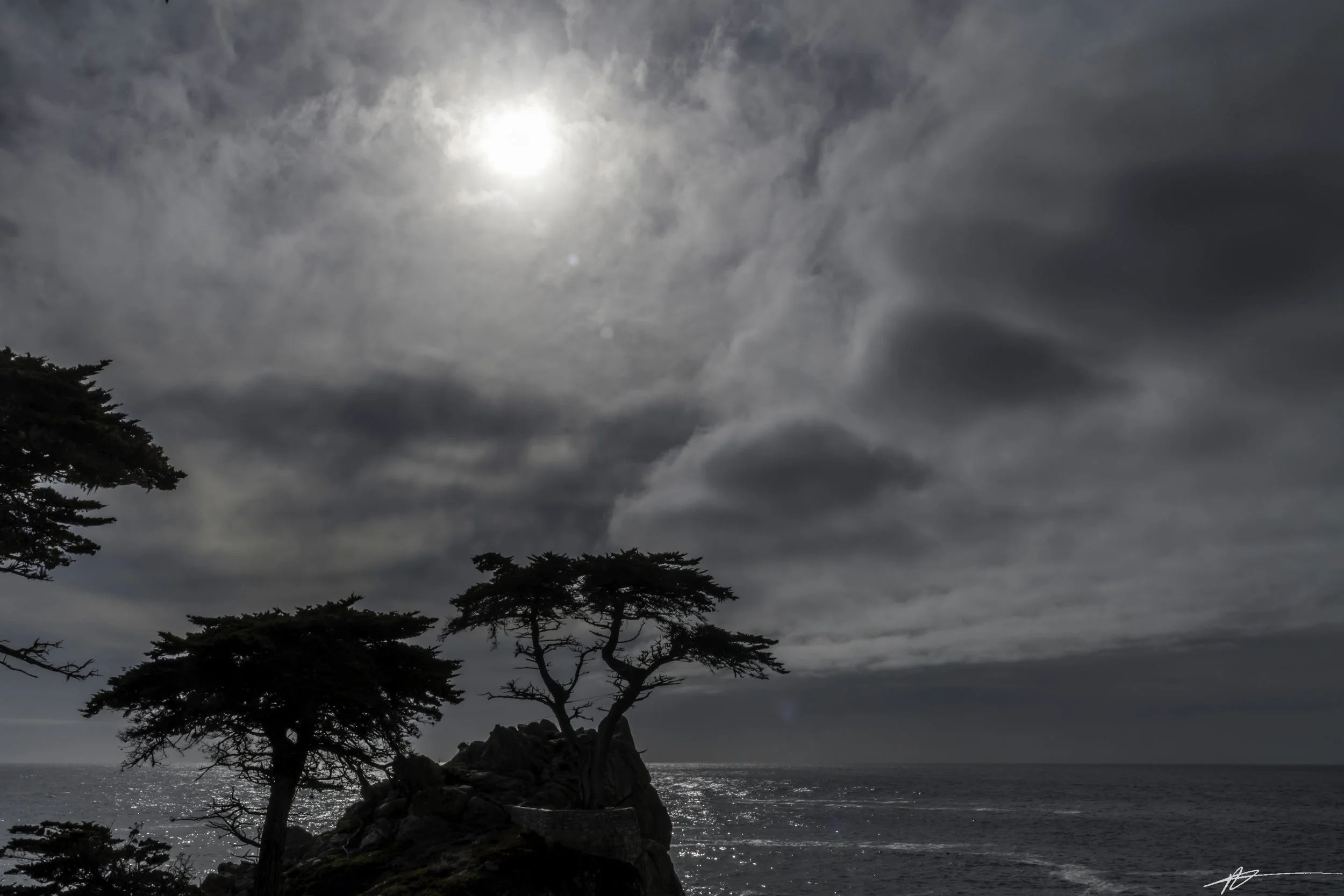 Big Sur-317.jpg