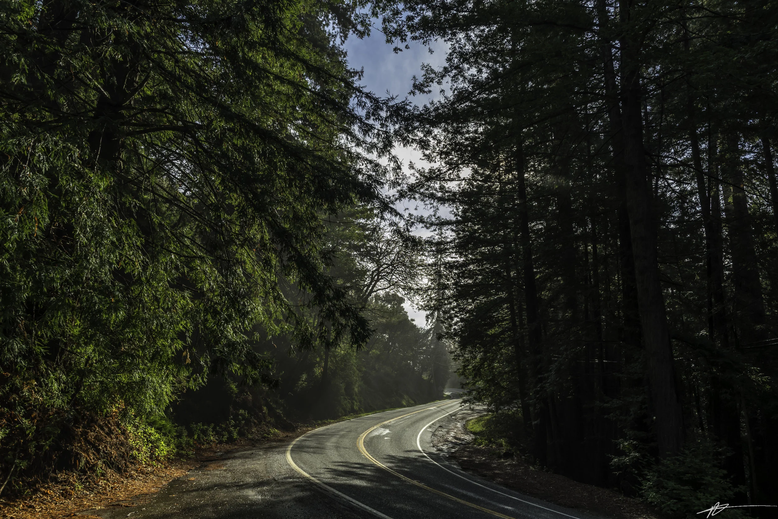 Big Sur-351.jpg