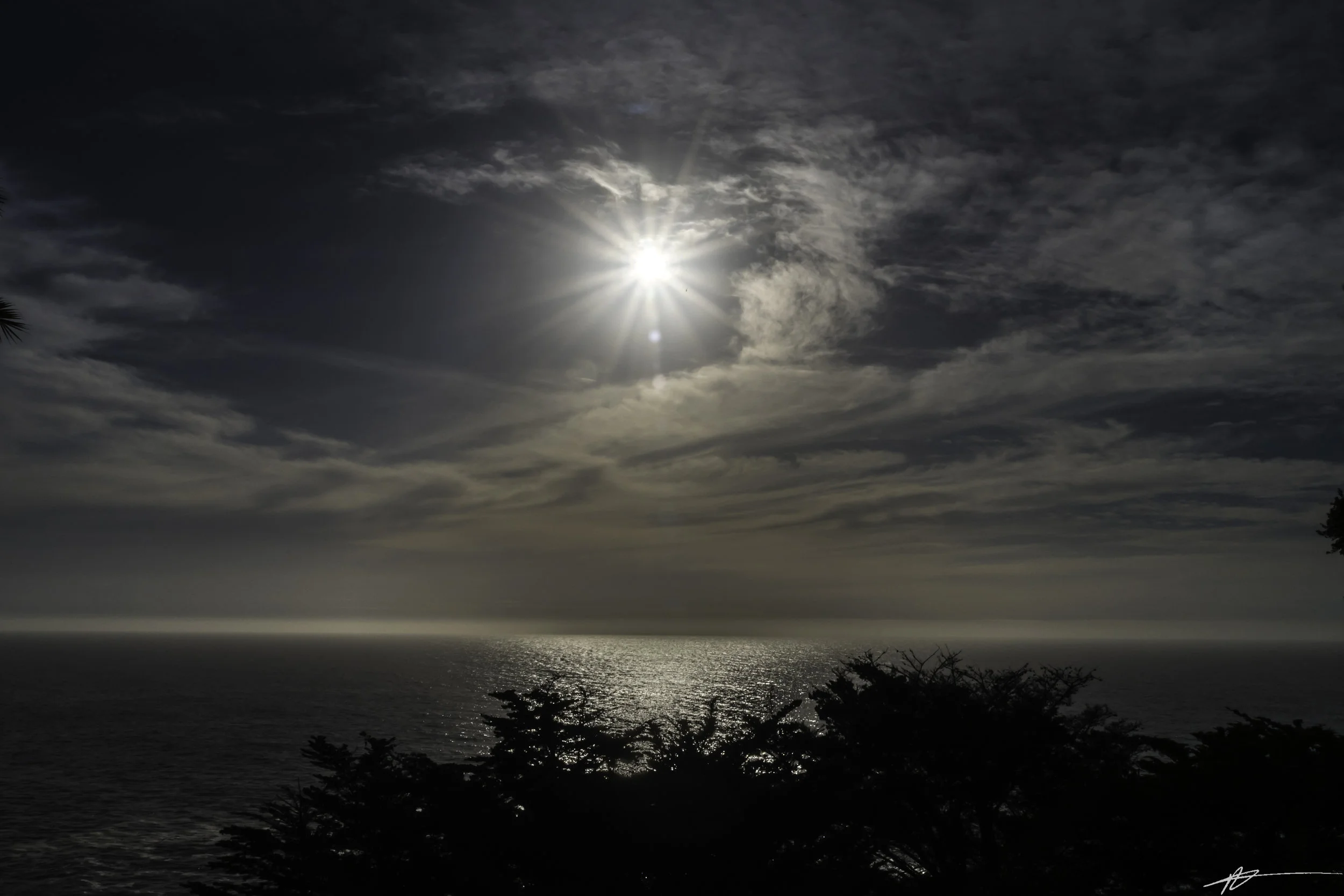 Big Sur-378.jpg