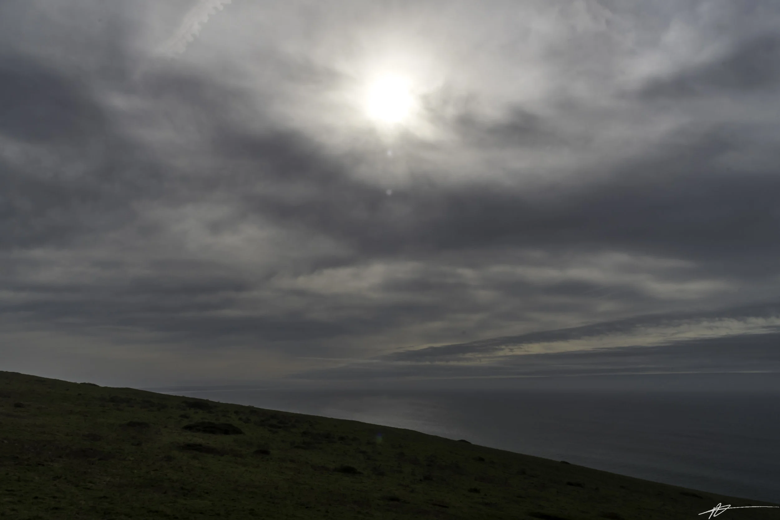 Tomales Point-4.jpg