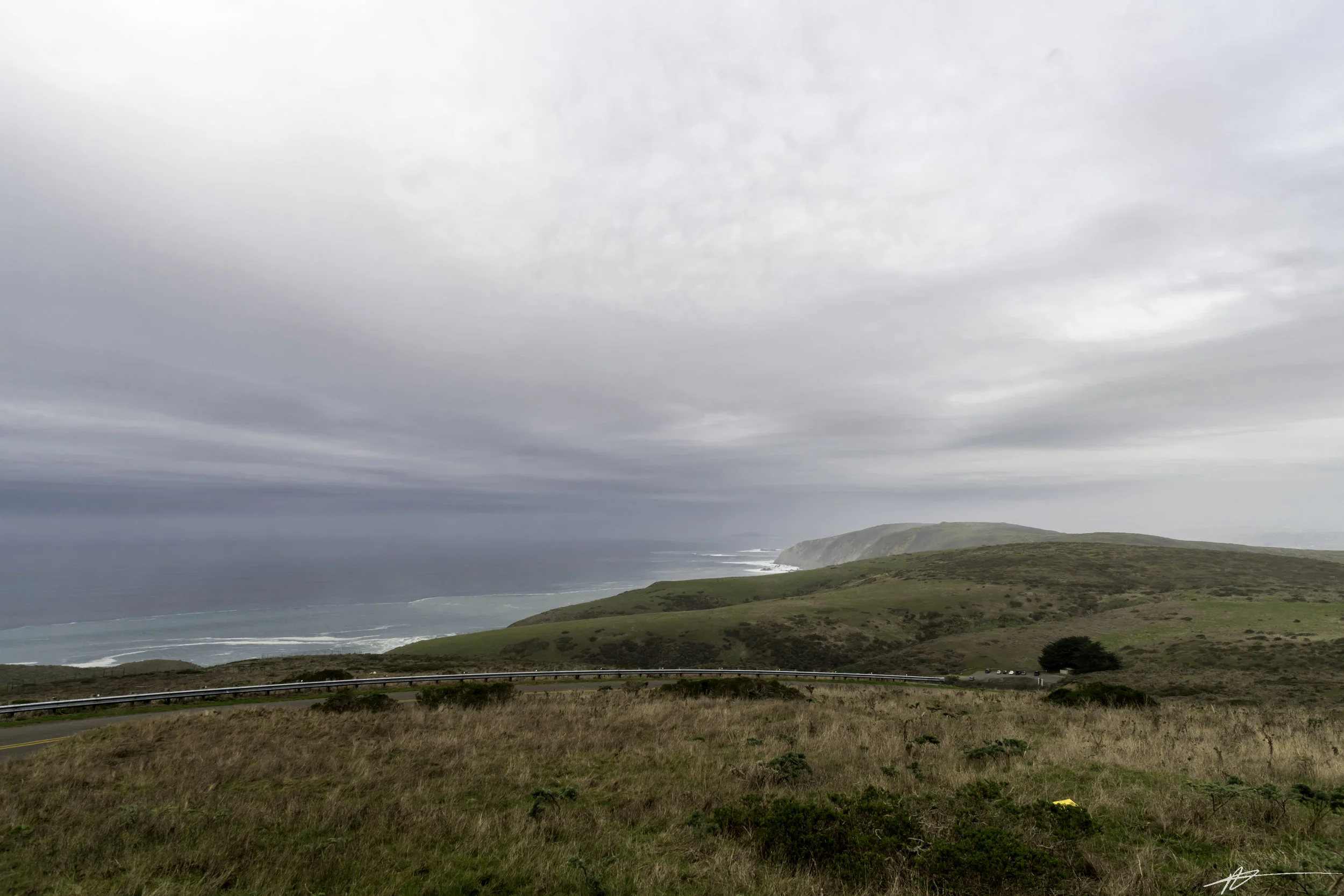 Tomales Point-7.jpg