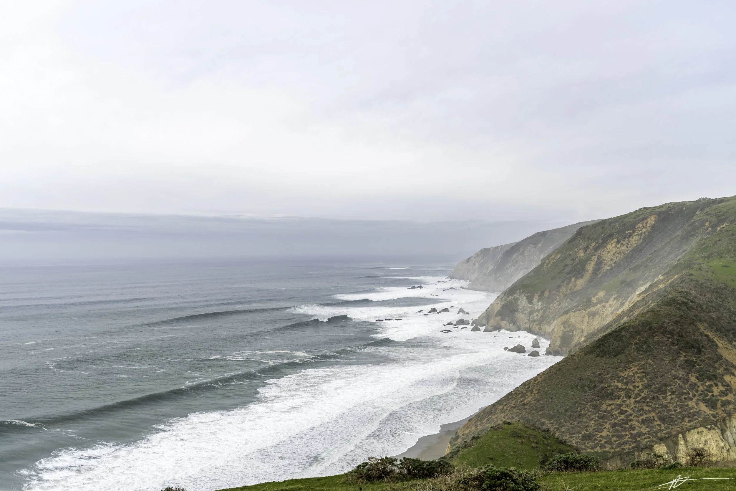 Tomales Point-2.jpg