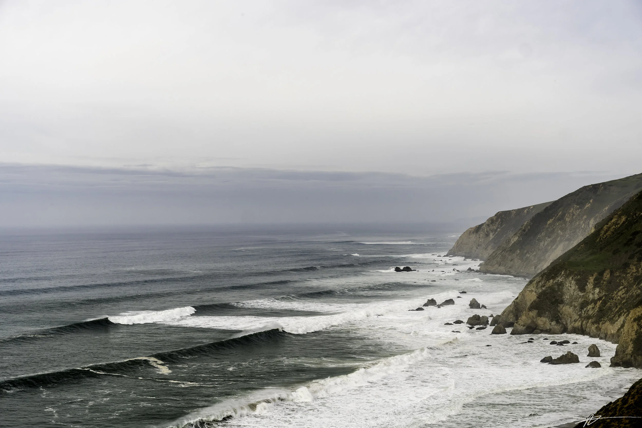 Tomales Point-14.jpg
