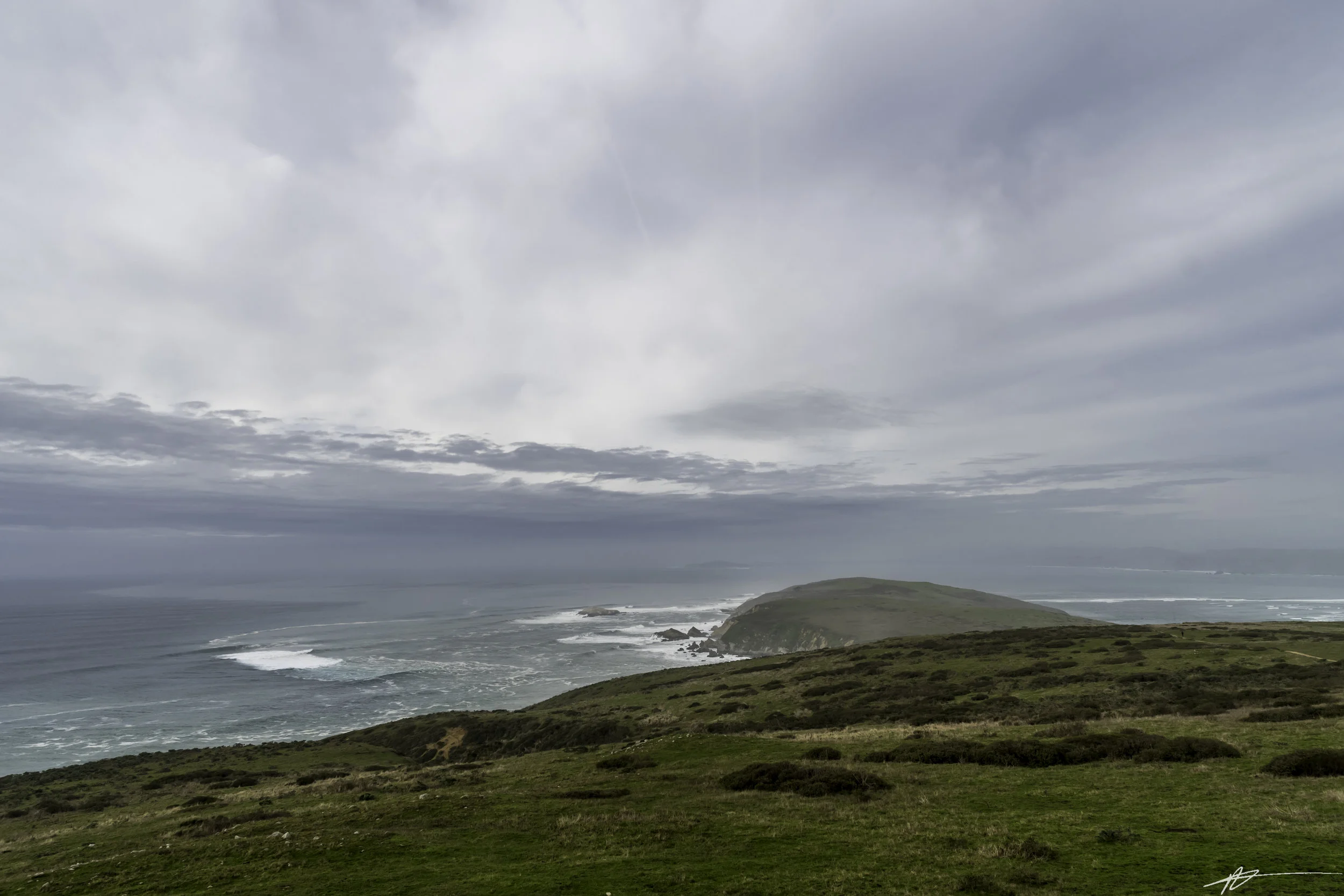 Tomales Point-23.jpg