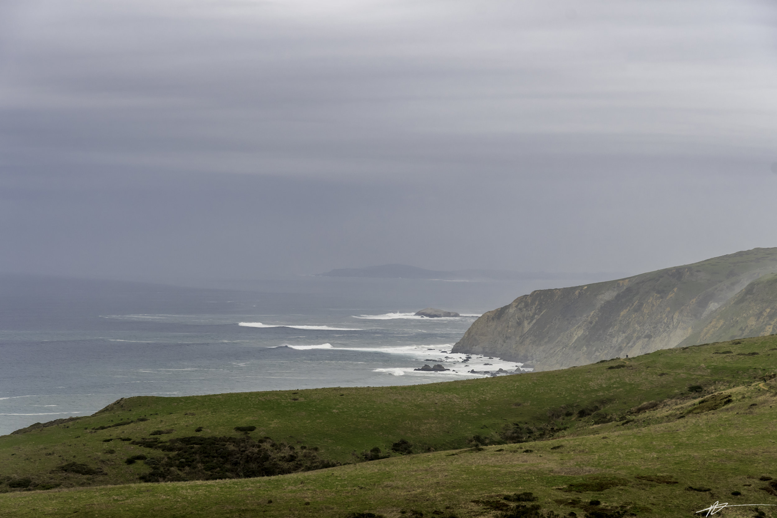 Tomales Point-26.jpg