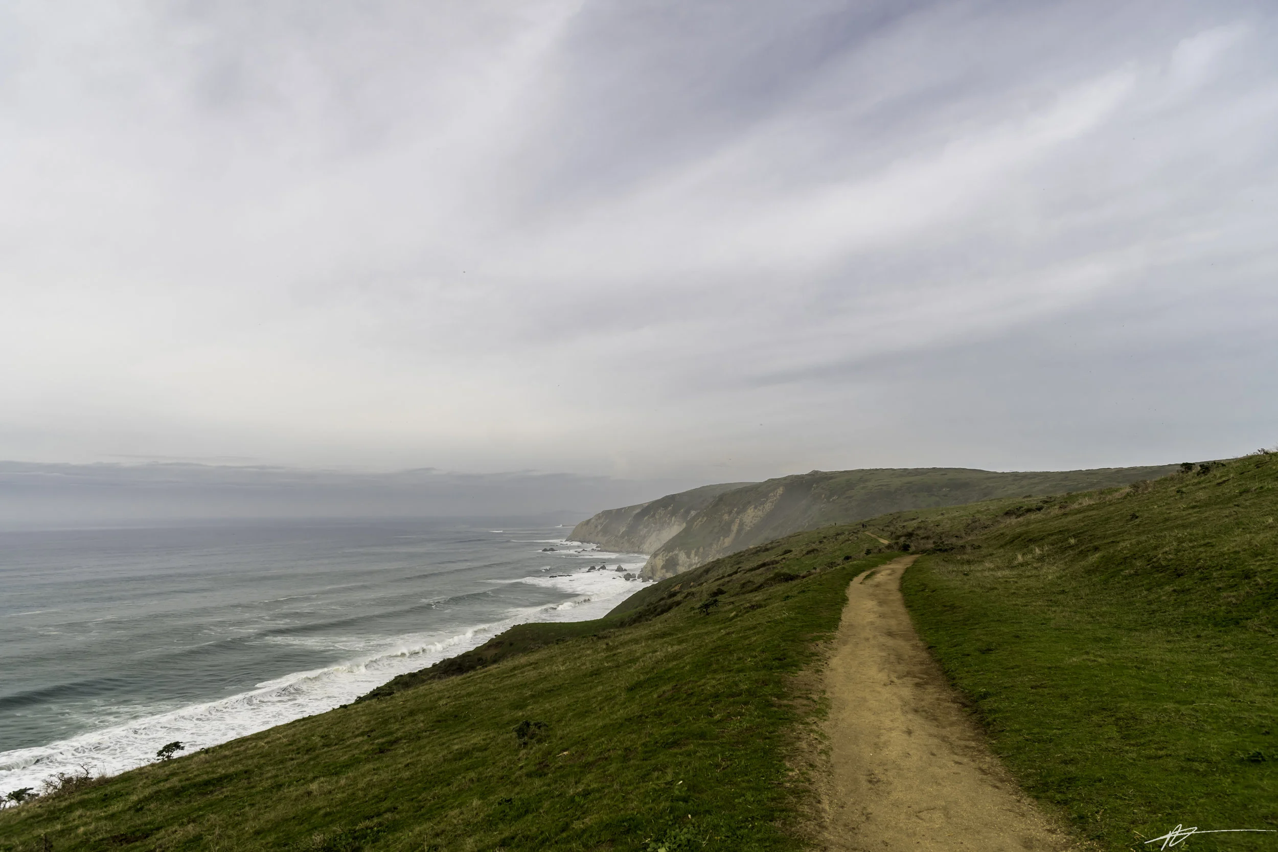 Tomales Point-27.jpg