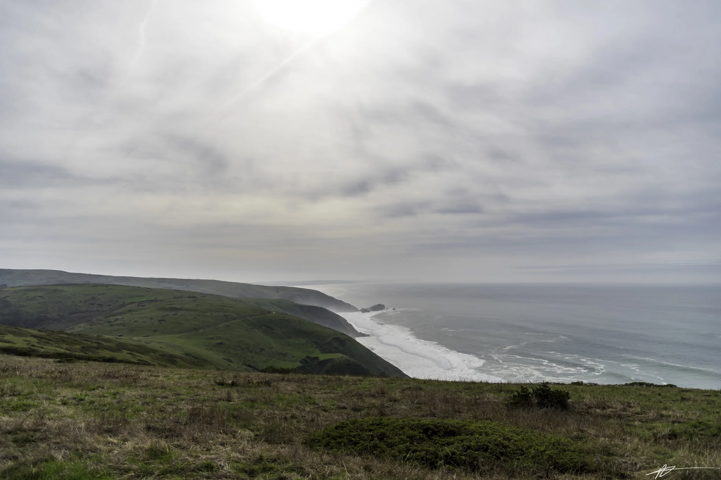 Tomales Point-52.jpg